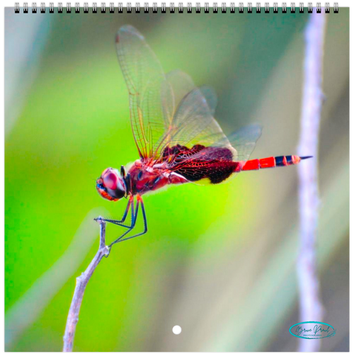 af011516-a306-4a06-831b-9aa351b4df89