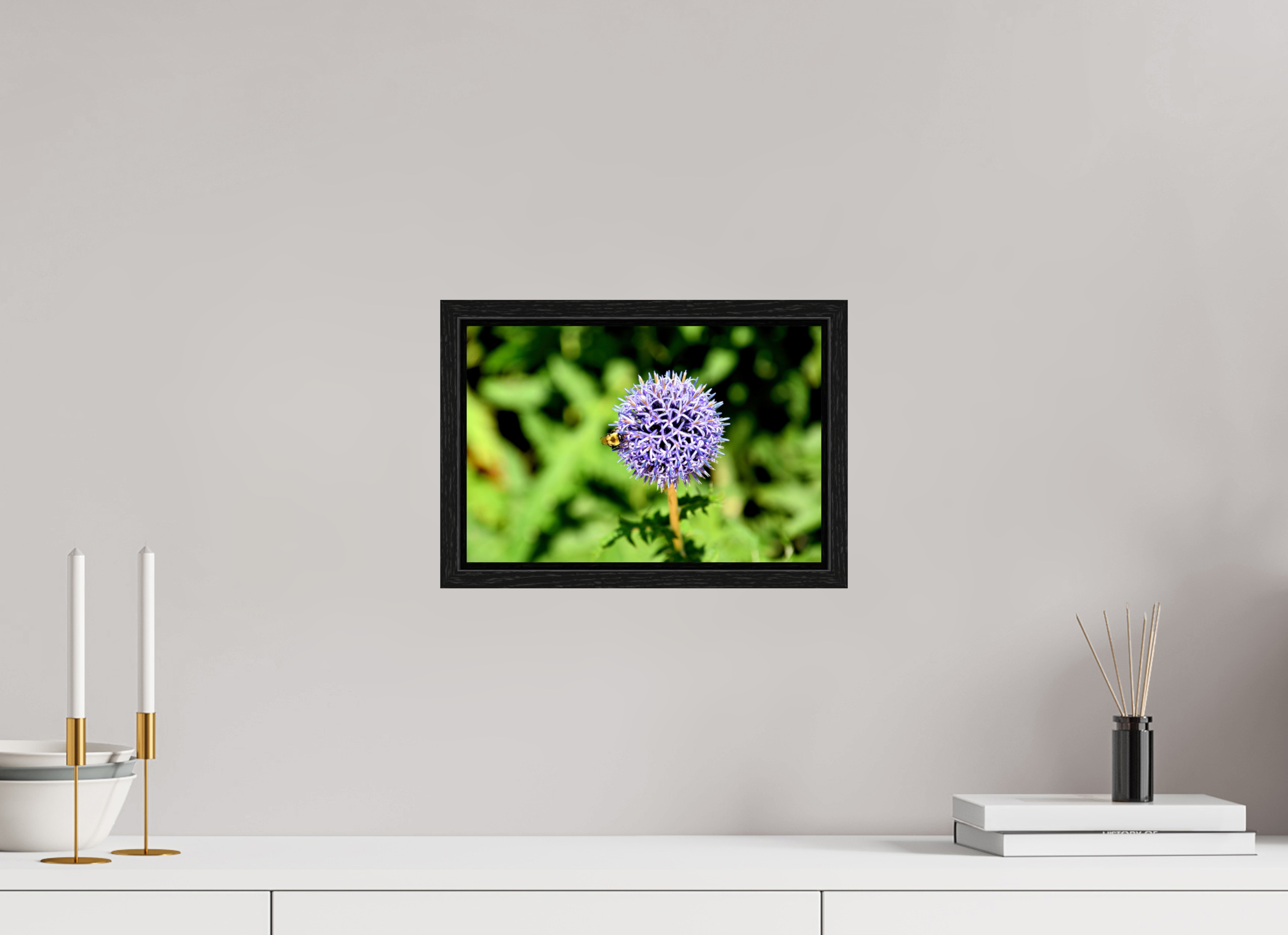 12 x 8″, Floater Frame, Basel 0.6", Black Oak, Glossy Acrylic Glass The Bee & The Globe Thistle (Echinops)
