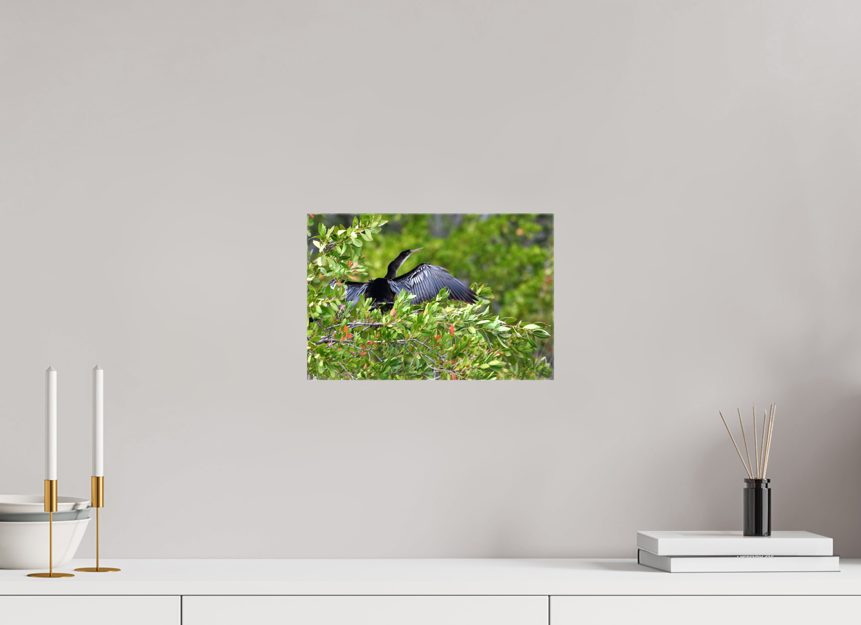 12 x 8″, Glossy Canvas on Stretcher Frame, 1,57" Wrapped Florida Anhinga Sunning