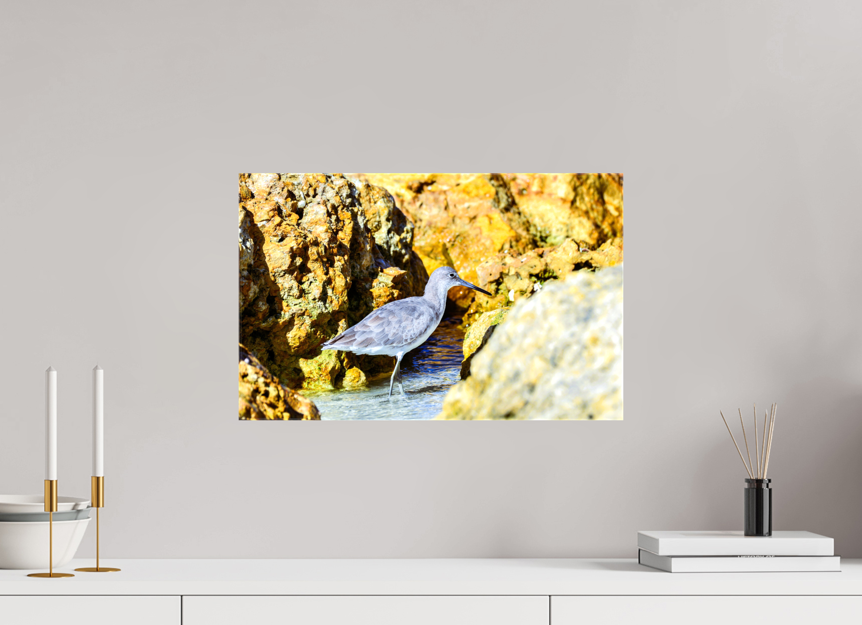 18.9 x 12″, Glossy Canvas on Stretcher Frame, 1,57" Wrapped The Hiding Willet