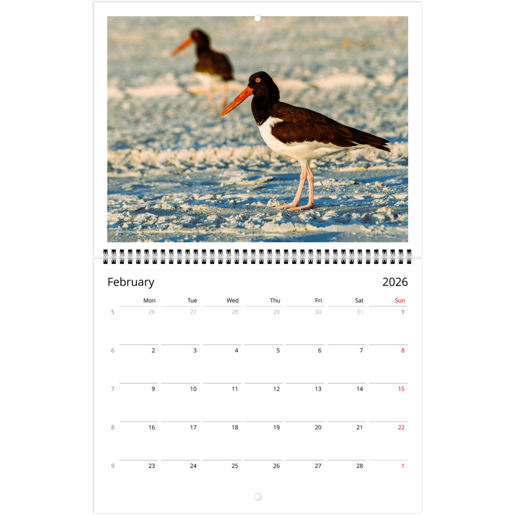 b1f789a9-b8c9-4e00-9aa3-e9d8558d4d43