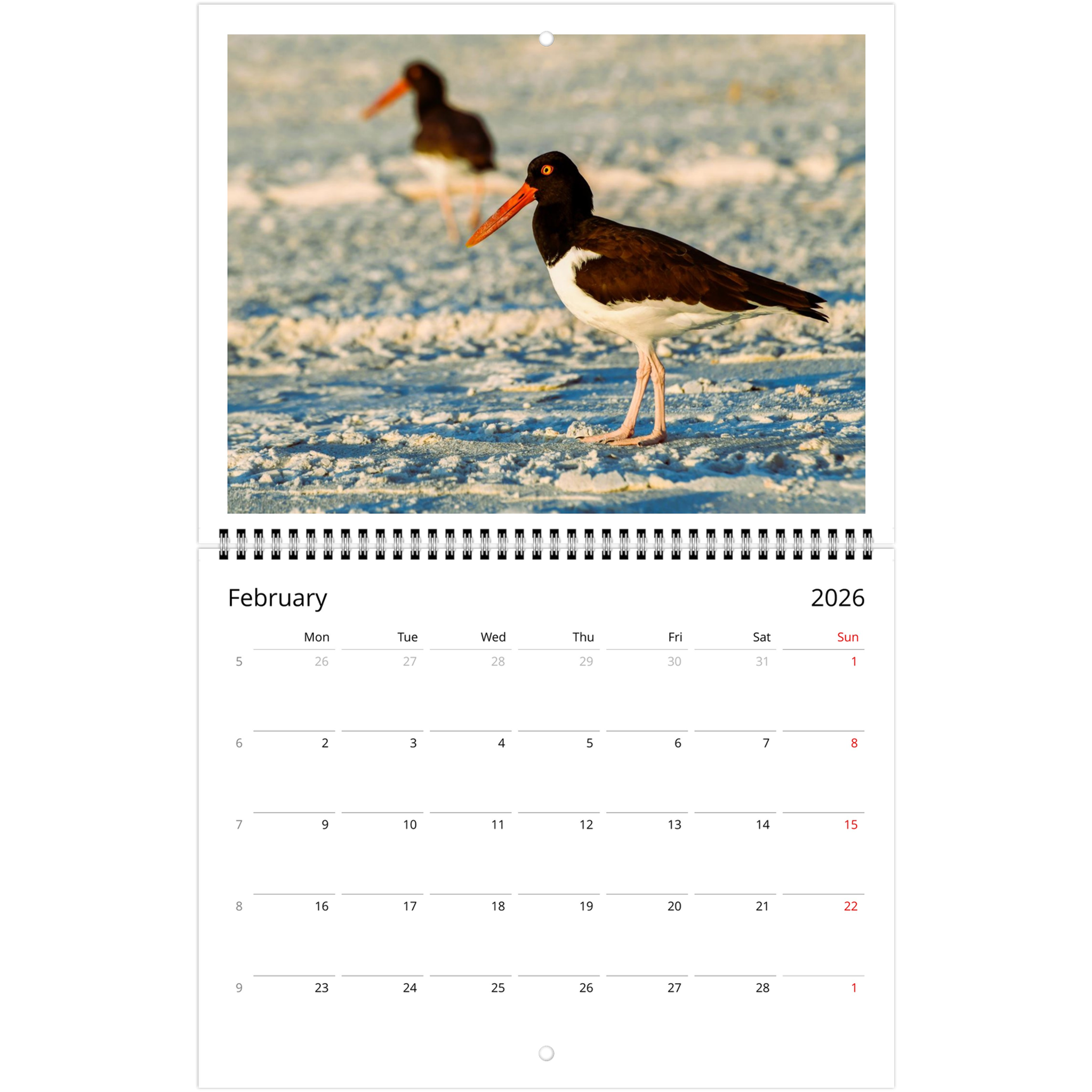 b1f789a9-b8c9-4e00-9aa3-e9d8558d4d43