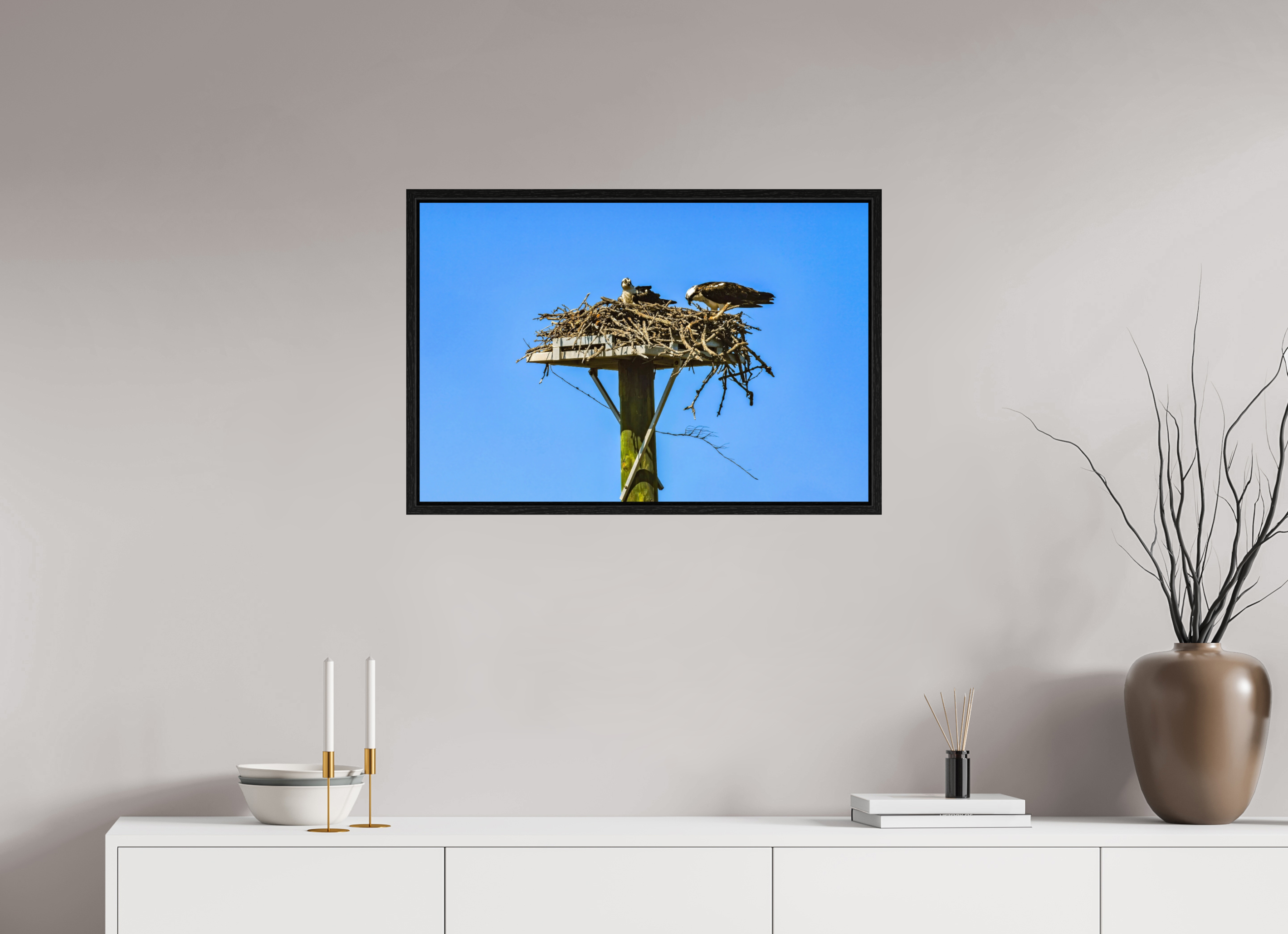 30 x 20″, Floater Frame, Basel 0.6", Black Oak, Glossy Acrylic Glass Osprey Outlook