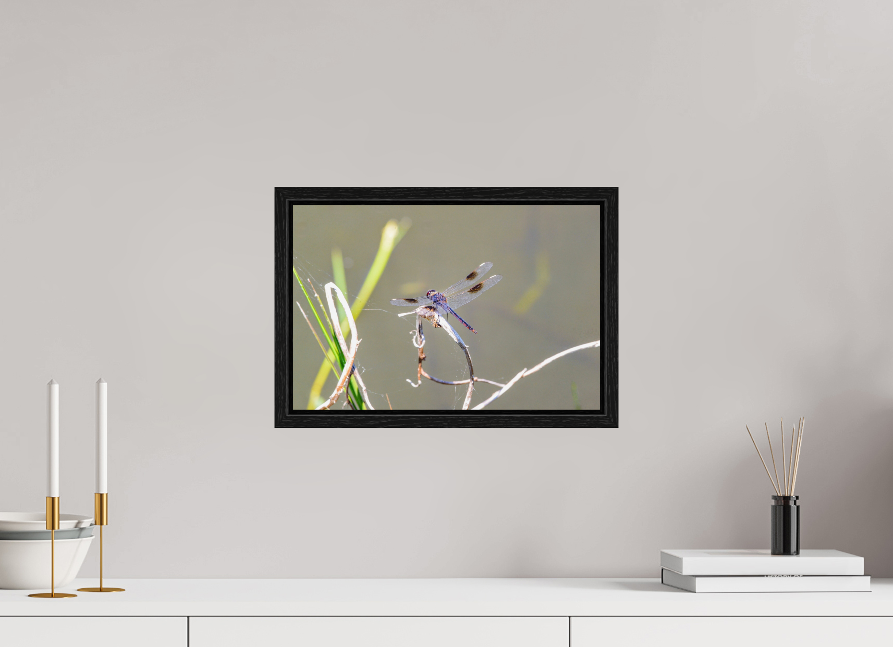 15 x 10″, Floater Frame, Basel 0.6", Black Oak, Glossy Acrylic Glass Pennant Dragonfly in the Marsh