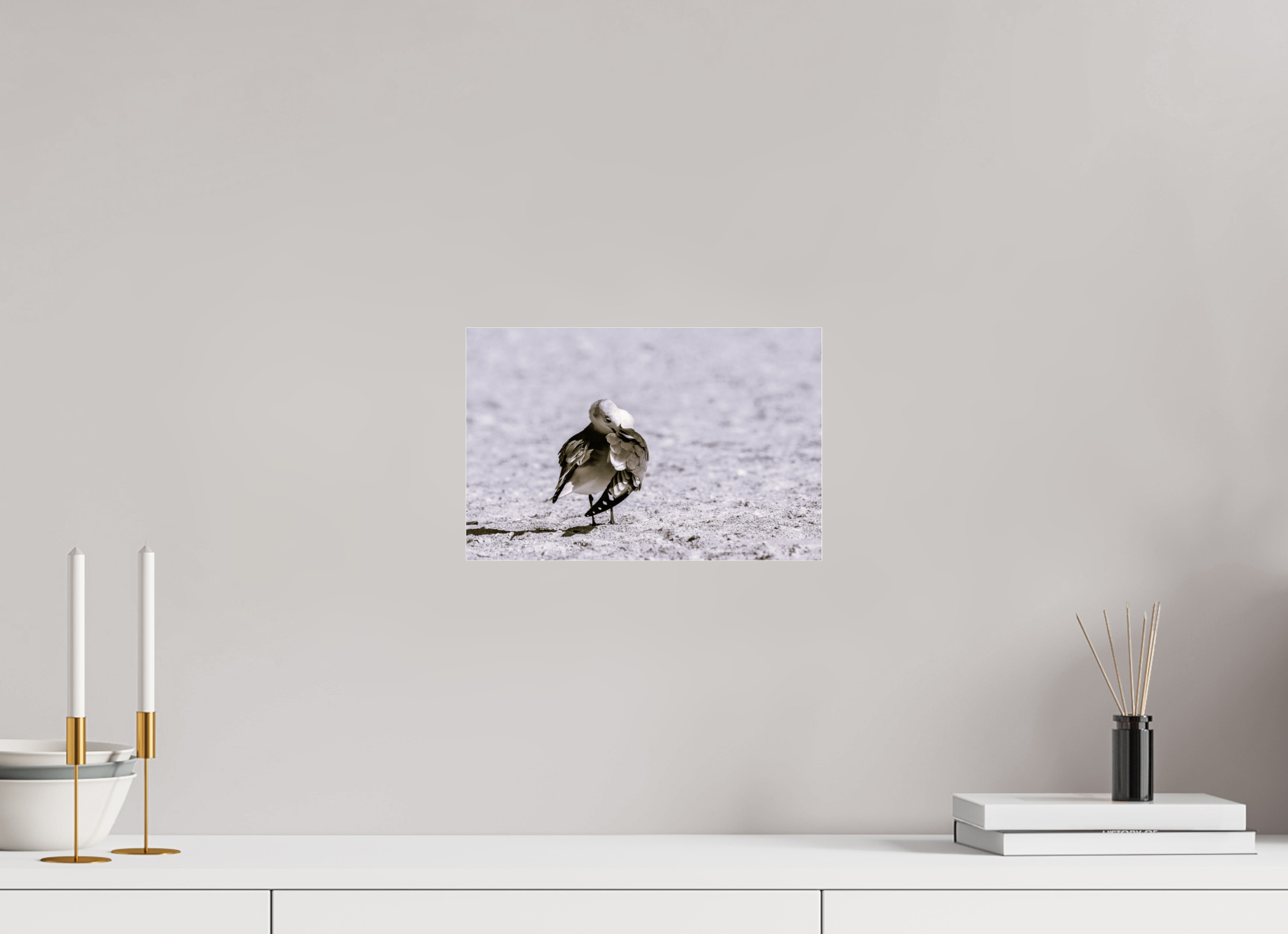 12.2 x 8″, Photo Print Under Acrylic Glass A Monochrome Gull Preening