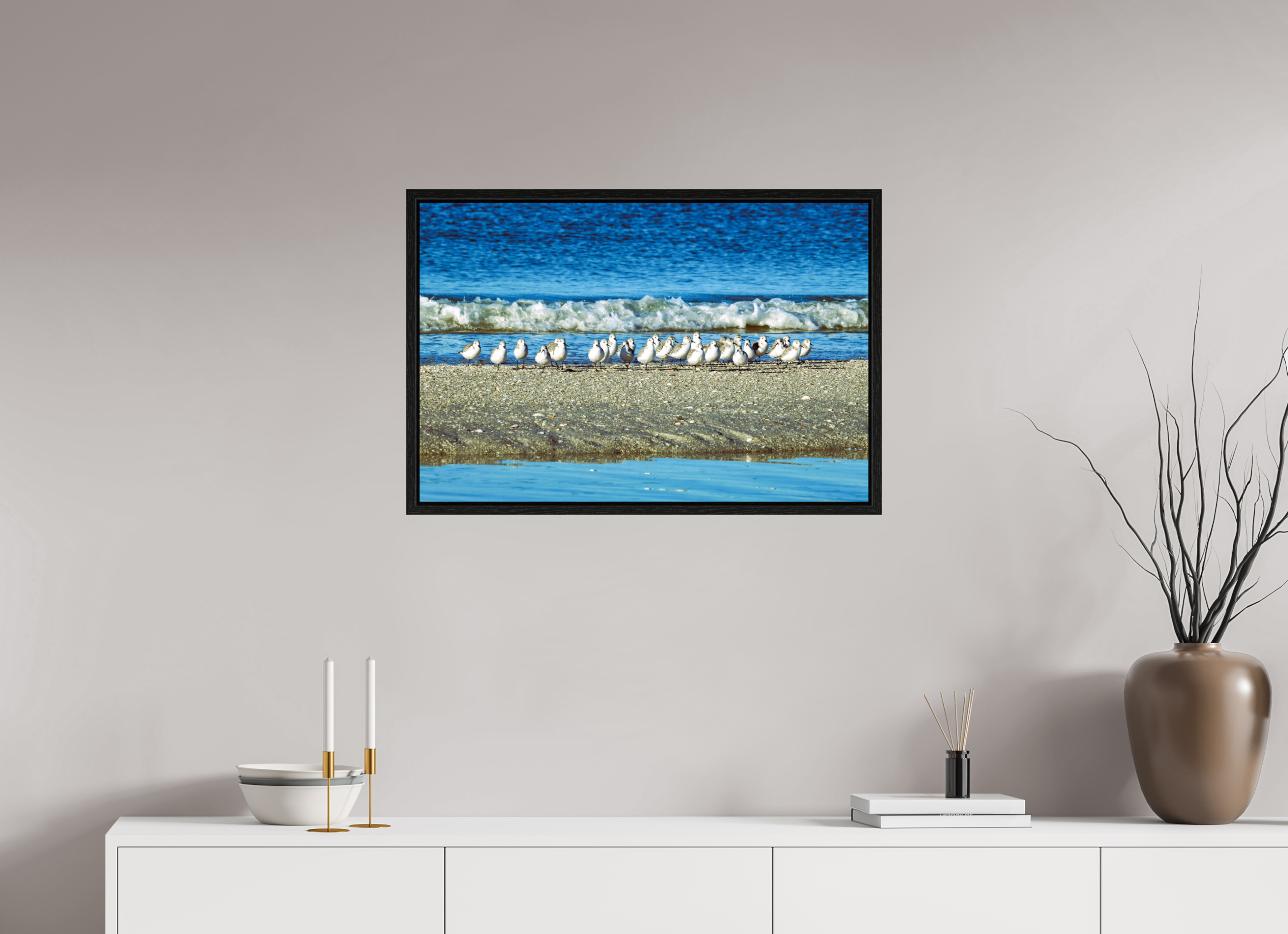 30 x 20″, Floater Frame, Basel 0.6", Black Oak, Glossy Acrylic Glass Sanderlings on Standby