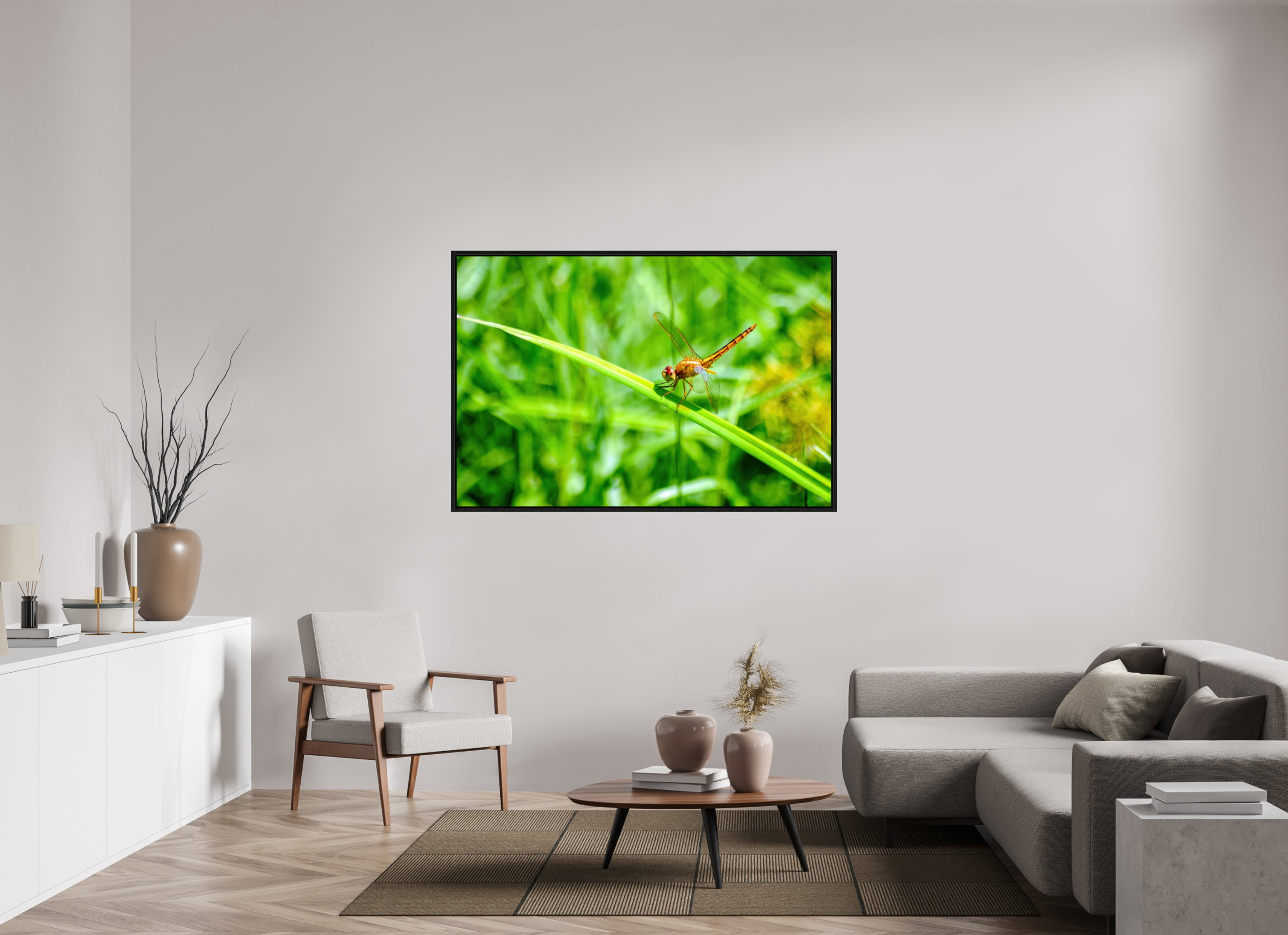 60 x 40″, Floater Frame, Basel 0.6", Black Oak, Glossy Acrylic Glass Female Scarlet Skimmer