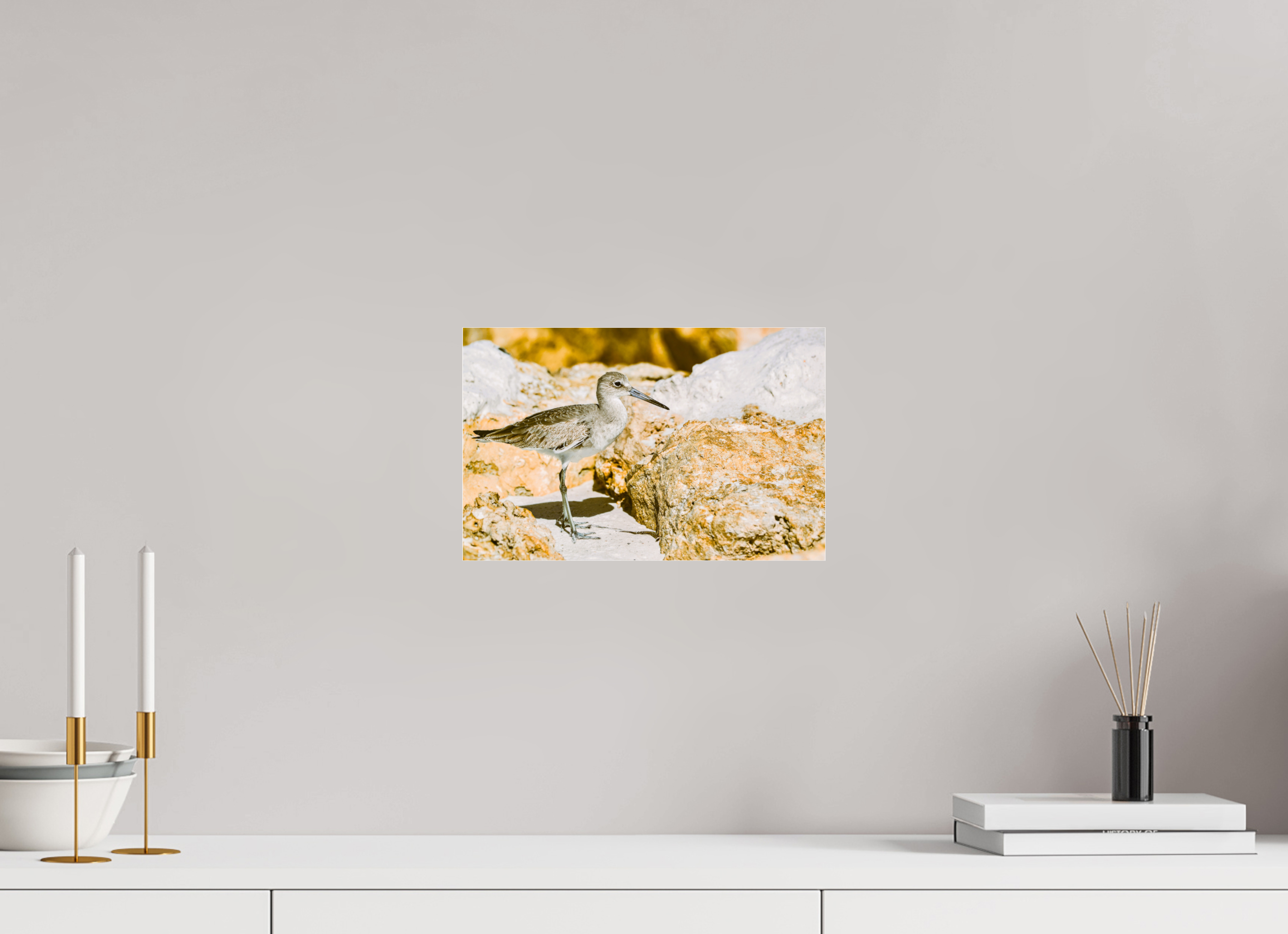 12.4 x 8″, Metallic Photo Print Under Acrylic Glass The Sunny Willet