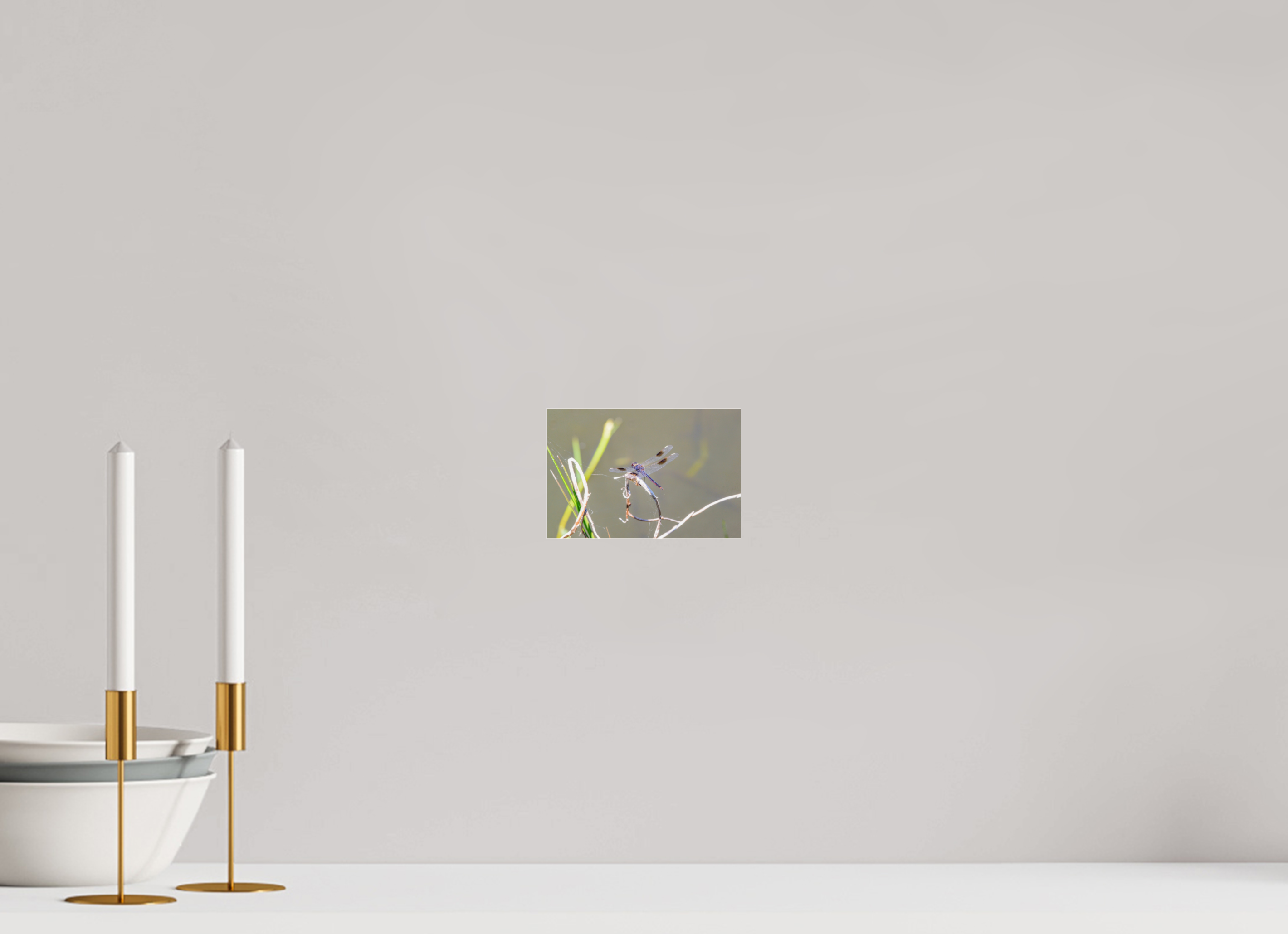 6 x 4″, Photo Print Fuji Crystal Archive Under Acrylic Glass Pennant Dragonfly in the Marsh