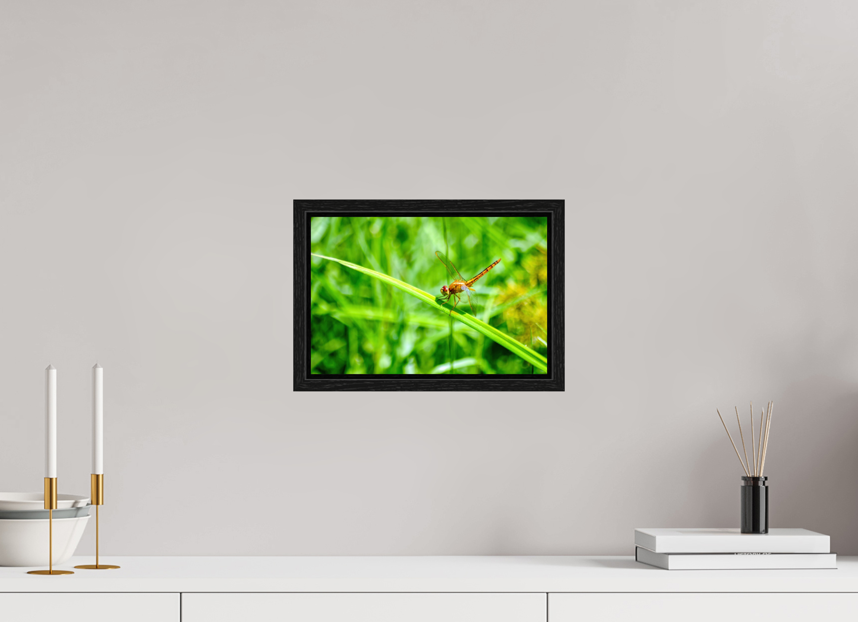 12 x 8″, Floater Frame, Basel 0.6", Black Oak, Glossy Acrylic Glass Female Scarlet Skimmer