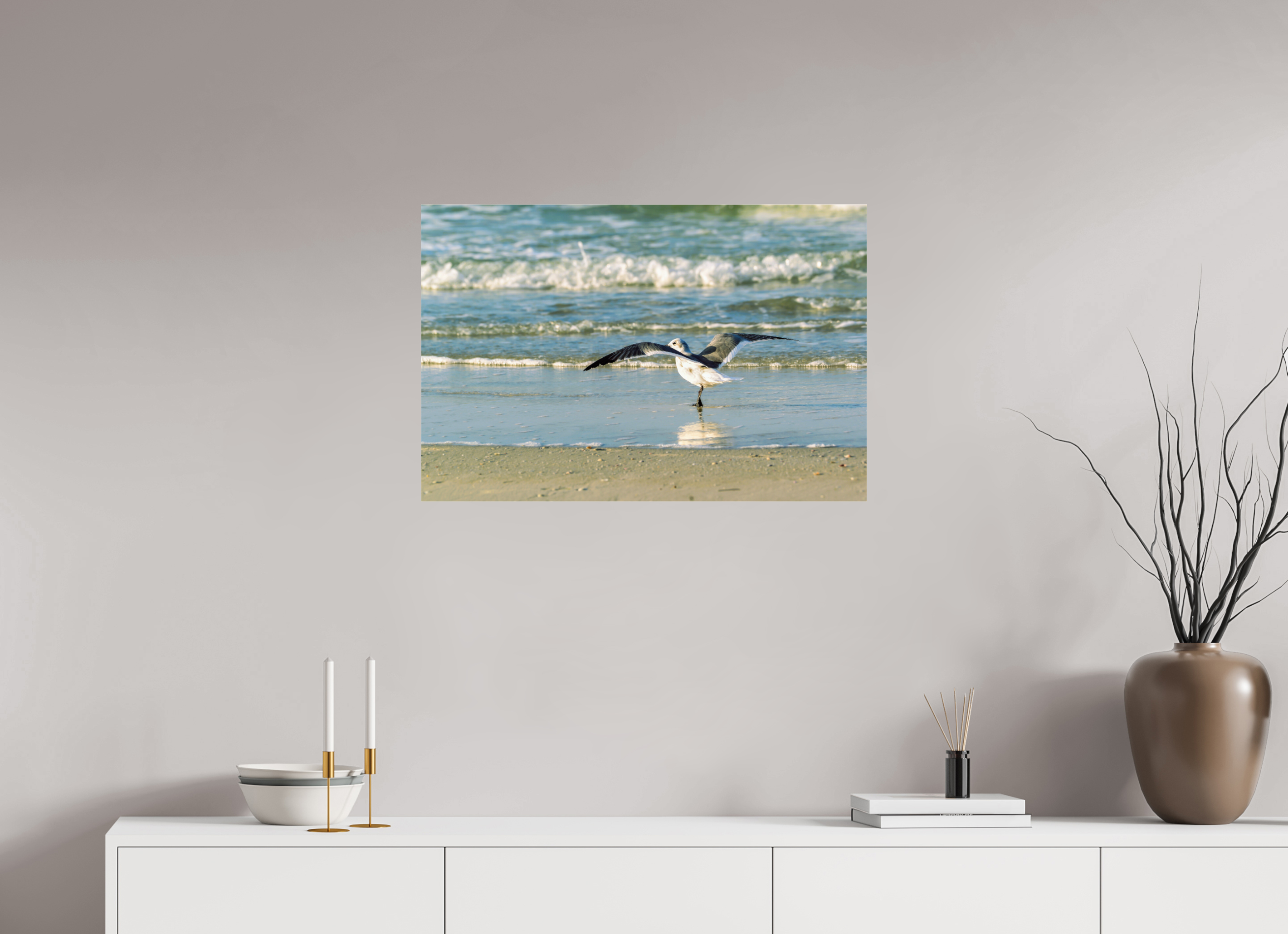 30 x 20″, Photo Print Under Acrylic Glass Laughing Gull in Motion
