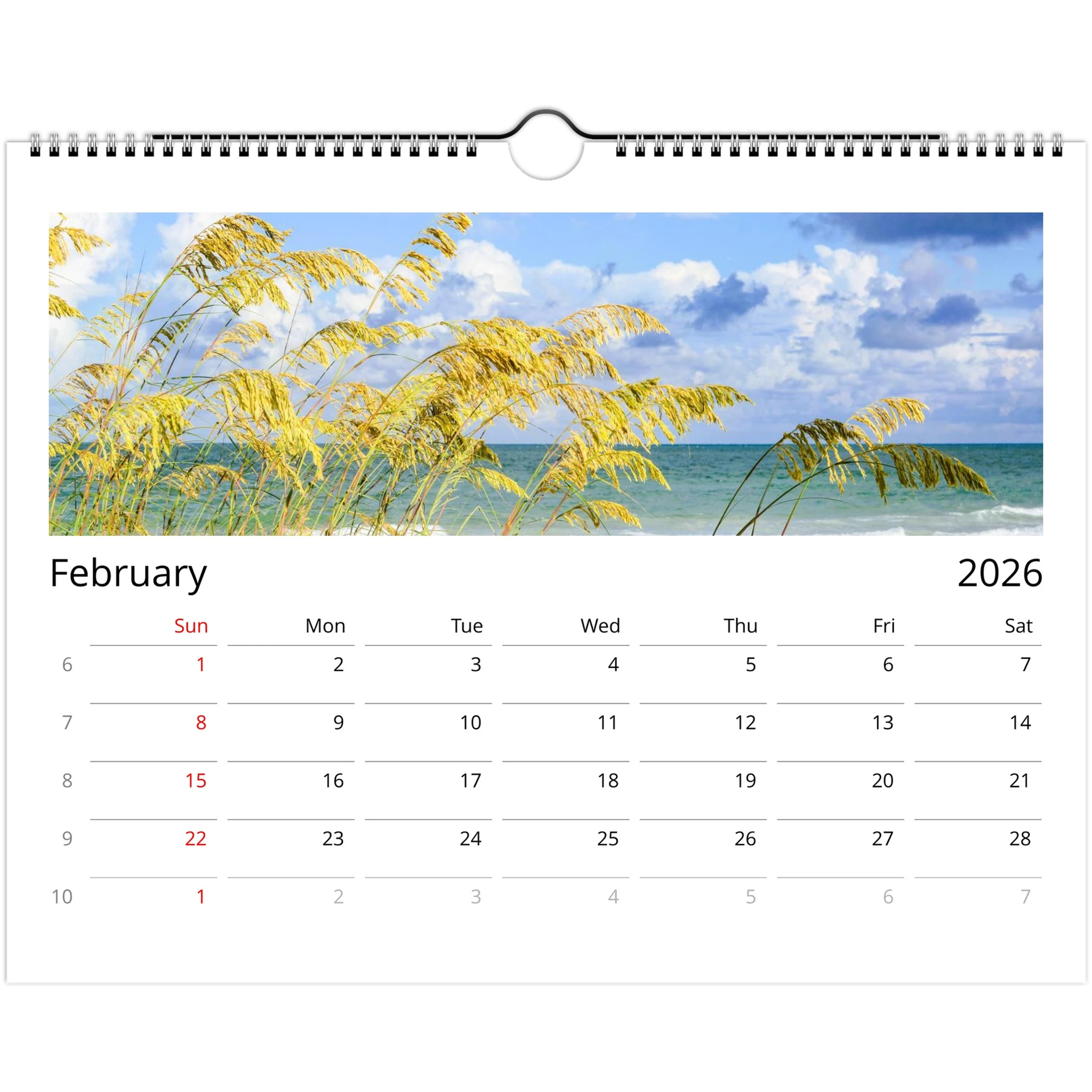 b4b9bd51-b7ad-472a-891b-59ff642fe092