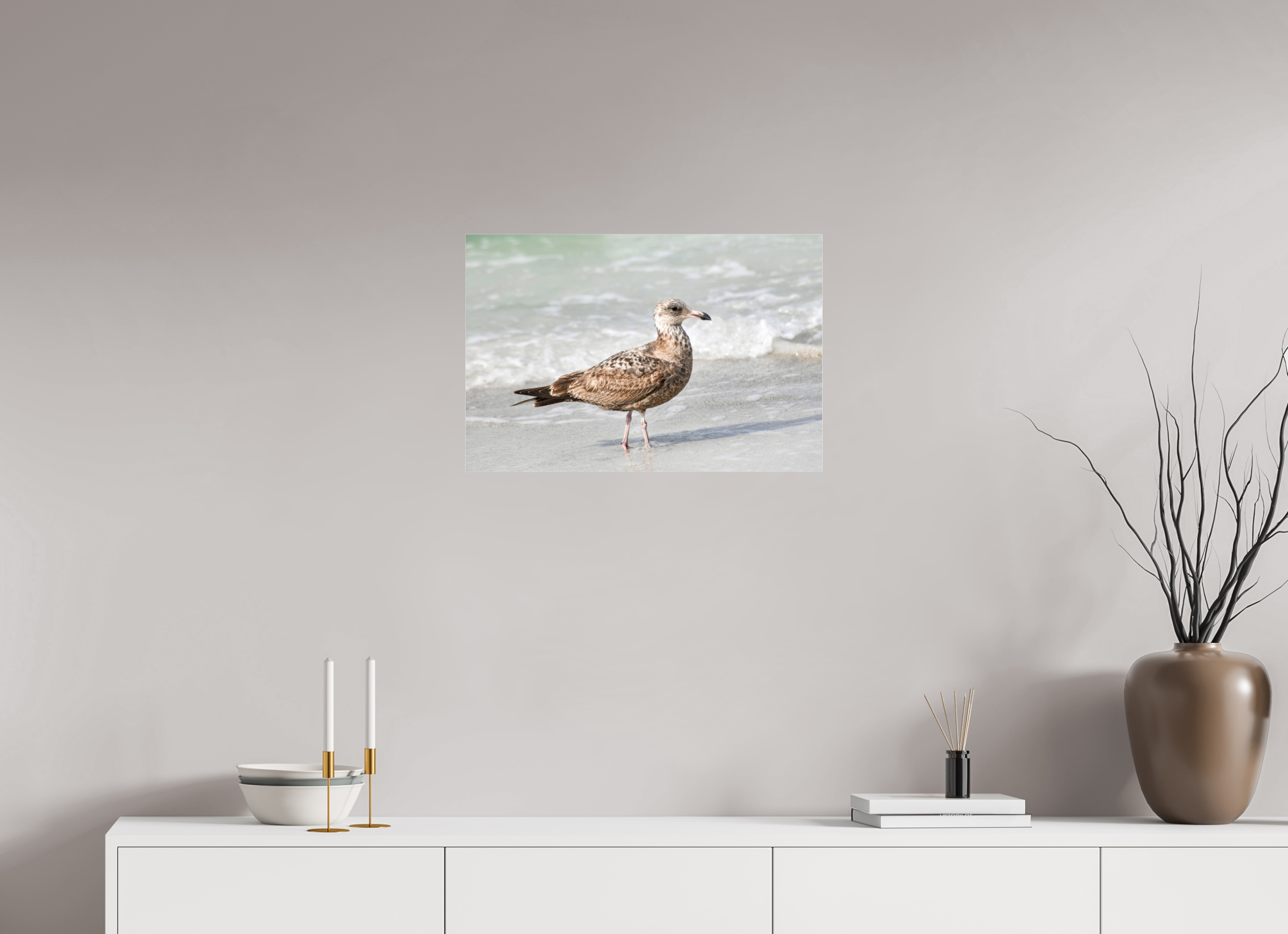 24 x 16″, Metallic Photo Print Under Acrylic Glass The Young Explorer: Immature American Herring Gull