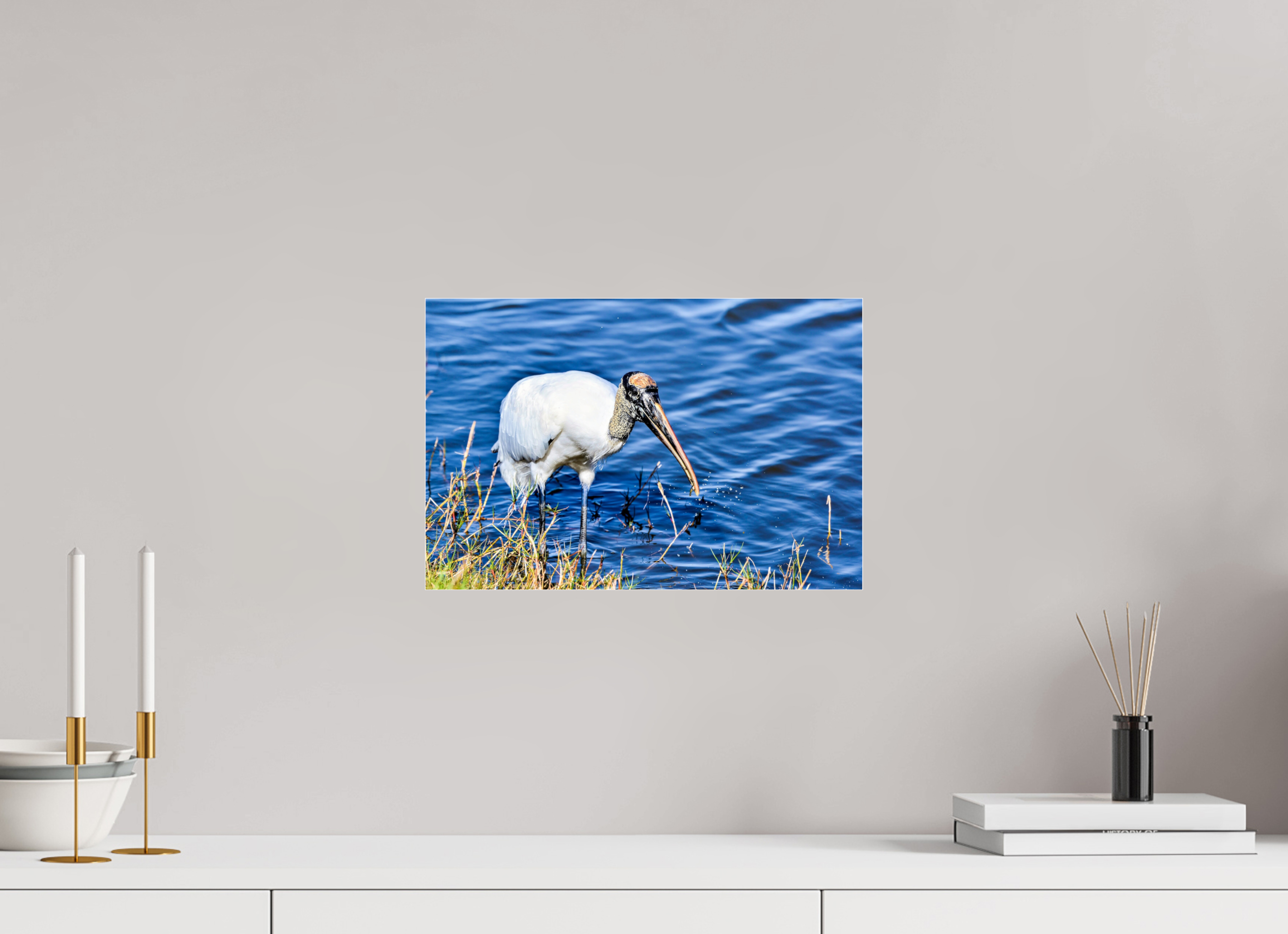 15 x 10″, Photo Print Fuji Crystal Archive Under Acrylic Glass The Morning Catch: Wood Stork in Action