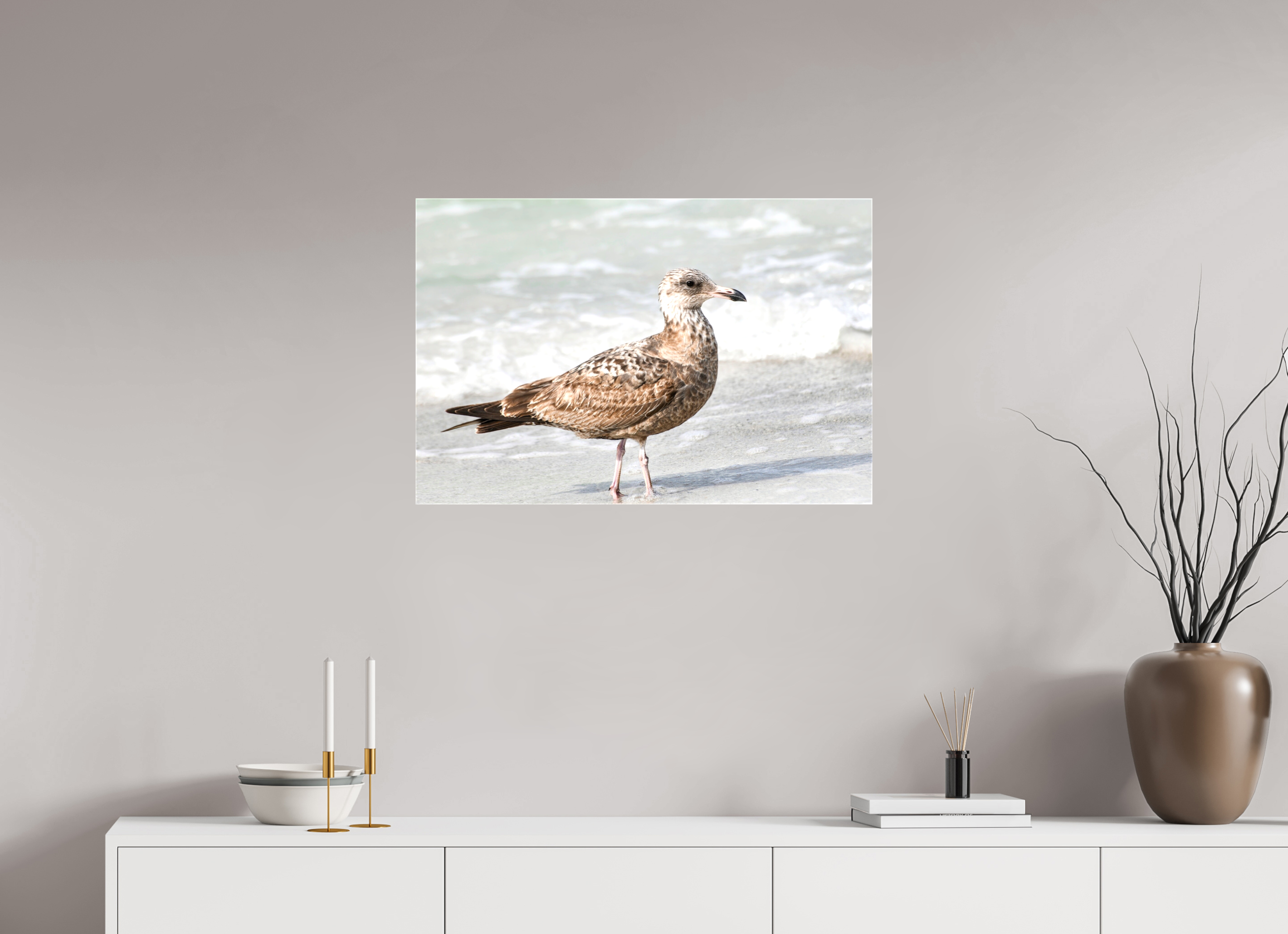 30 x 20″, Glossy Canvas on Stretcher Frame, 1,57" Wrapped The Young Explorer: Immature American Herring Gull