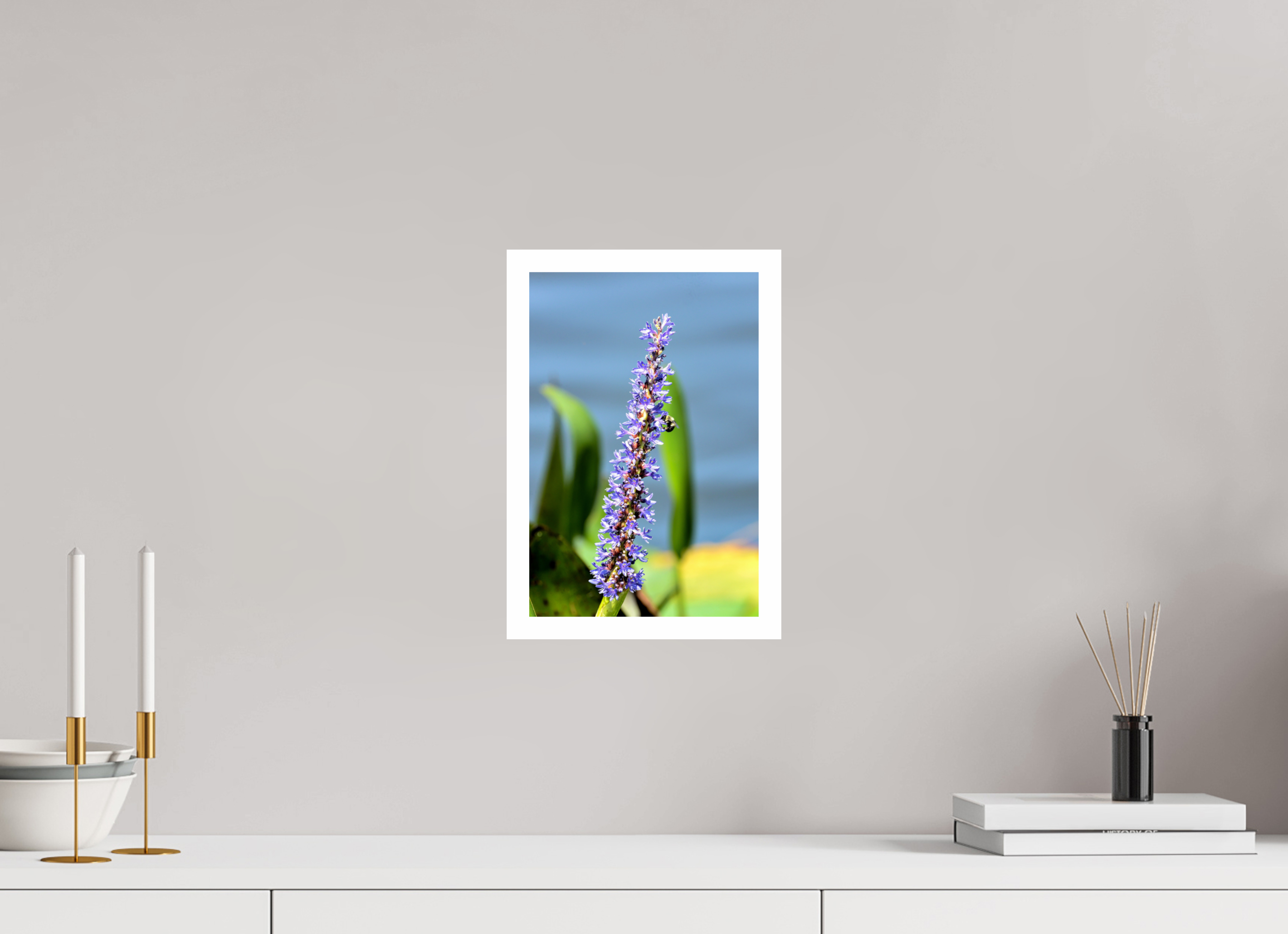 8 x 12″, Hahnemühle FineArt Pearl Print, .79" white border Bloom & Buzz