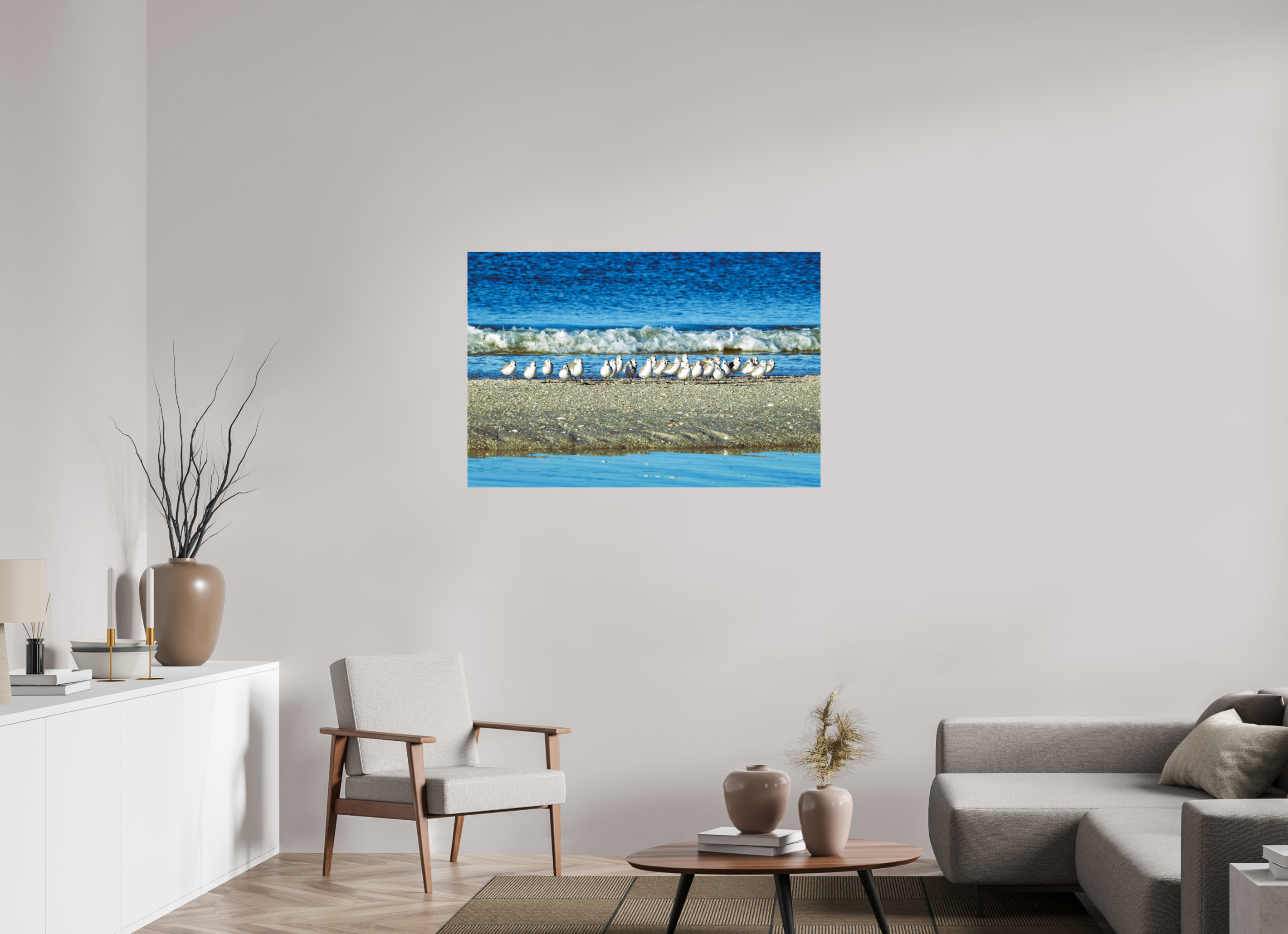 45 x 30″, Photo Print Fuji Crystal Archive Under Acrylic Glass Sanderlings on Standby