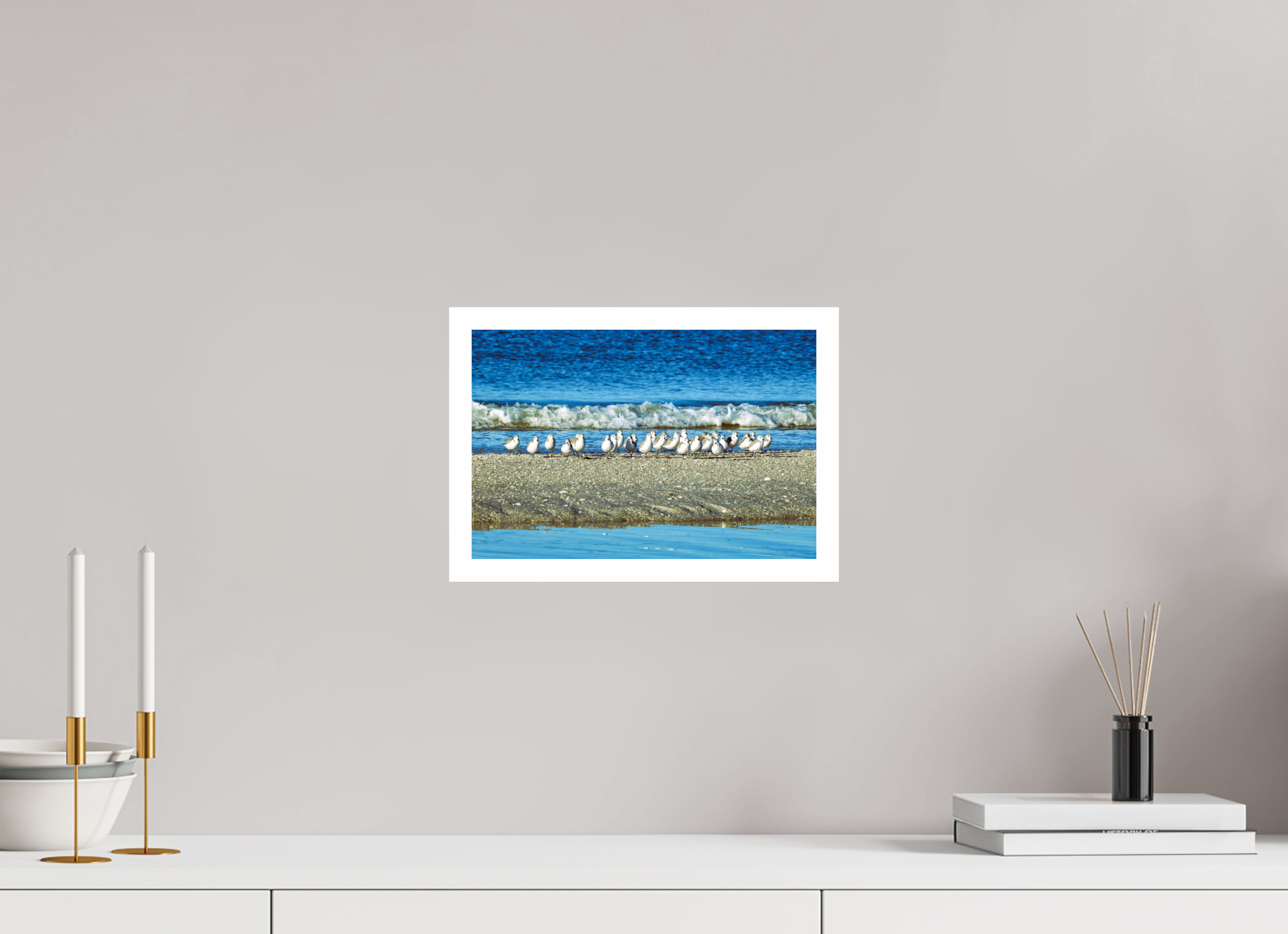 12 x 8″, Hahnemühle FineArt Pearl Print, .79" white border Sanderlings on Standby