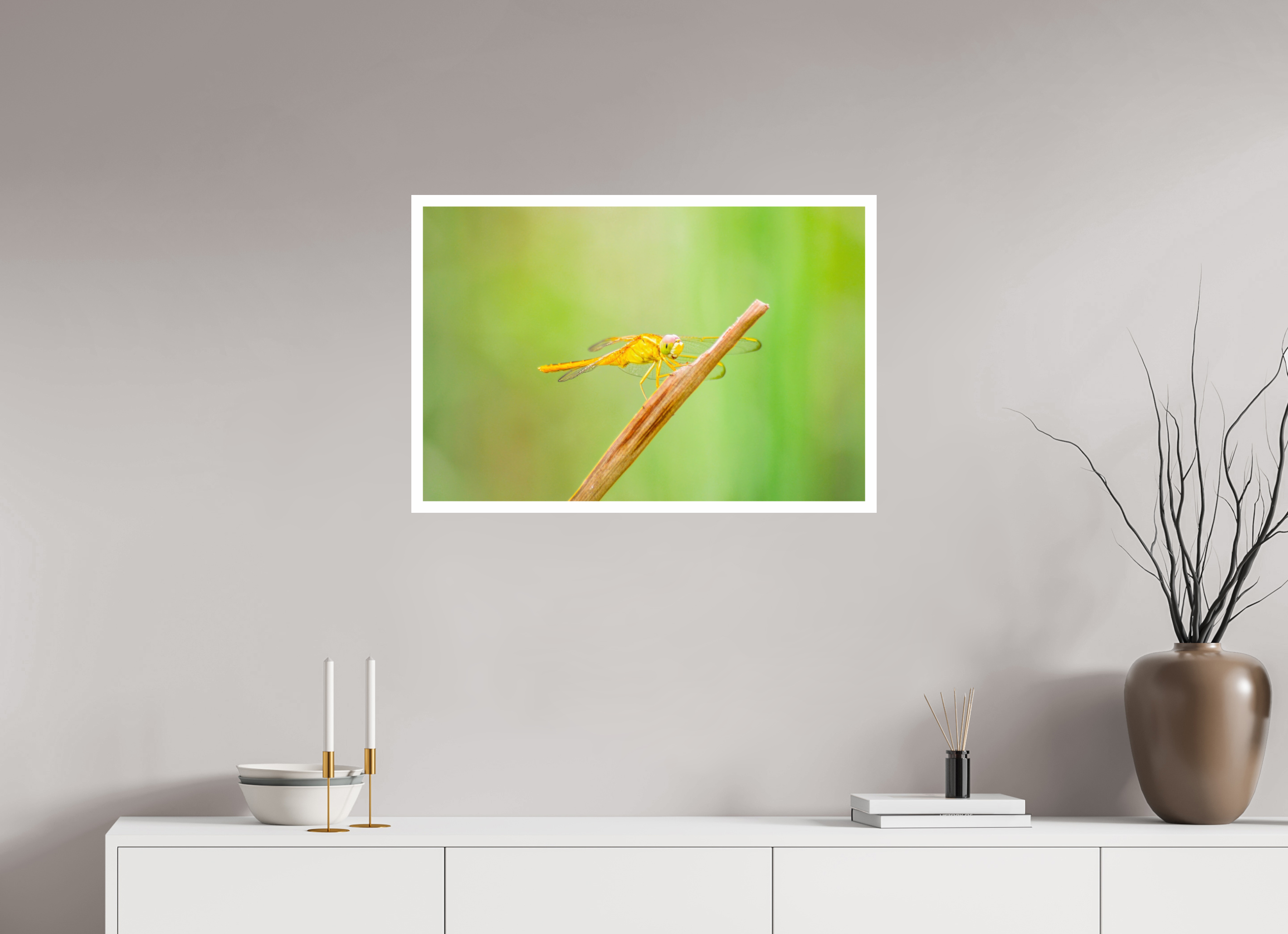 30 x 20″, Hahnemühle FineArt Pearl Print, .79" white border Sun-Drenched Golden Scarlet Skimmer
