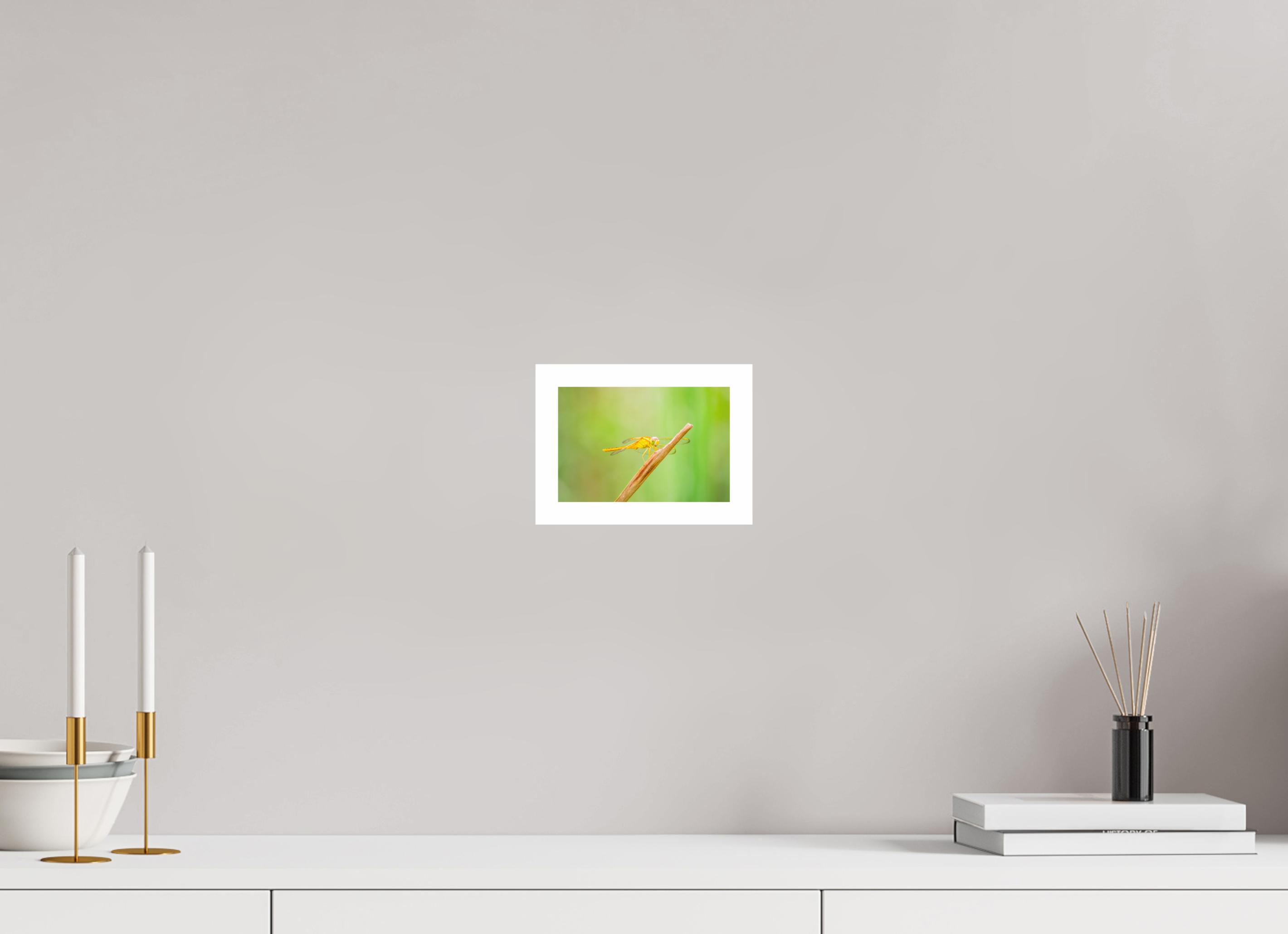 6 x 4″, Hahnemühle FineArt Pearl Print, .79" white border Sun-Drenched Golden Scarlet Skimmer