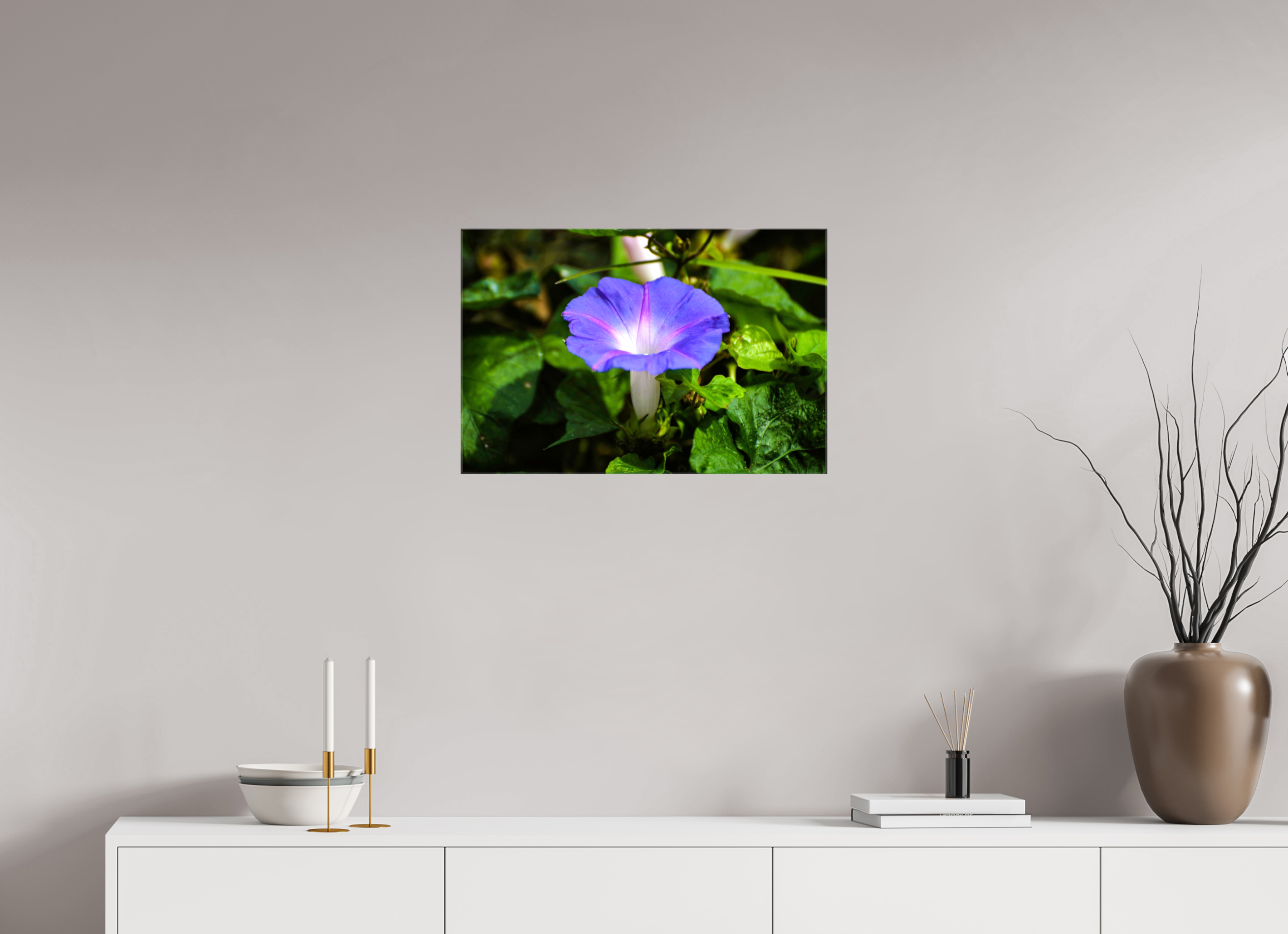 24 x 16″, Glossy Canvas on Stretcher Frame, 1,57" Wrapped Heavenly Blue Morning Glory