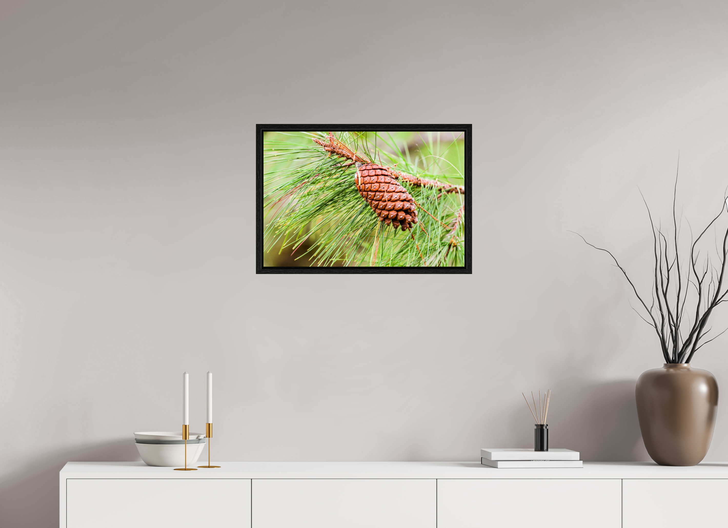 23.8 x 16″, Floater Frame The Longleaf Pine Cone