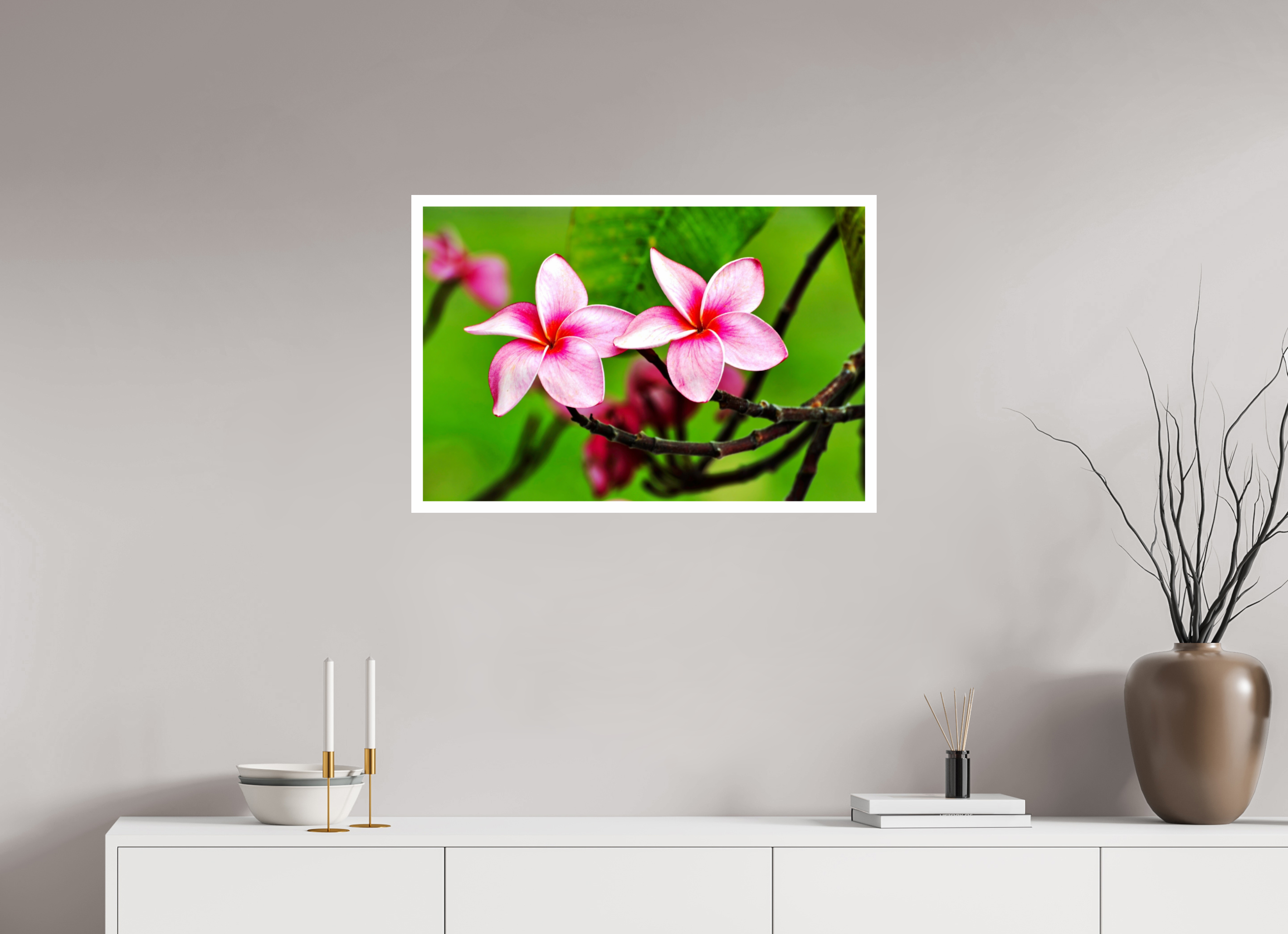 30 x 20″, Hahnemühle FineArt Pearl Print, .79" white border Pink Plumeria Rubra (Frangipani)
