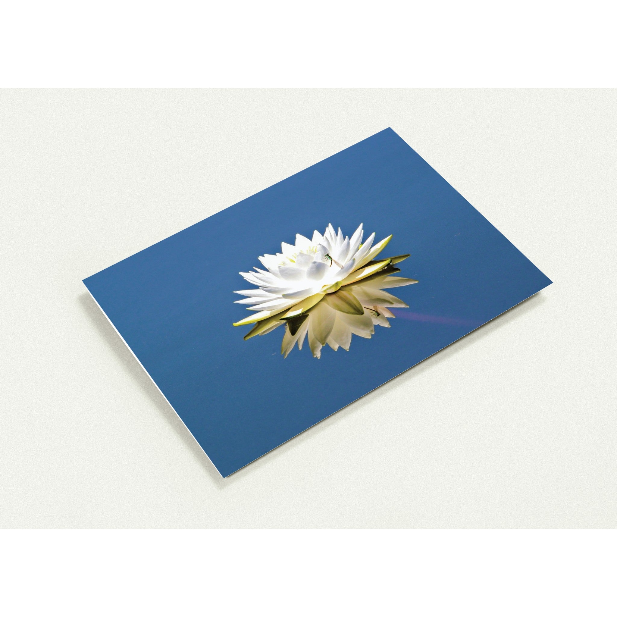 b978bb15-5b9e-4701-a8b0-8a39e0f3a9fc