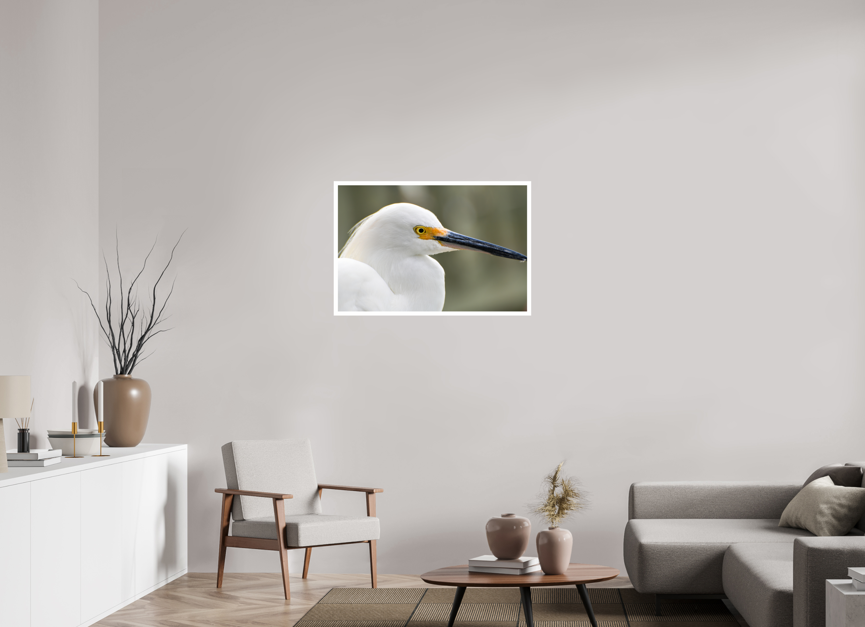 36 x 24″, Hahnemühle FineArt Pearl Print, .79" white border The White Plume: Snowy Egret Portrait