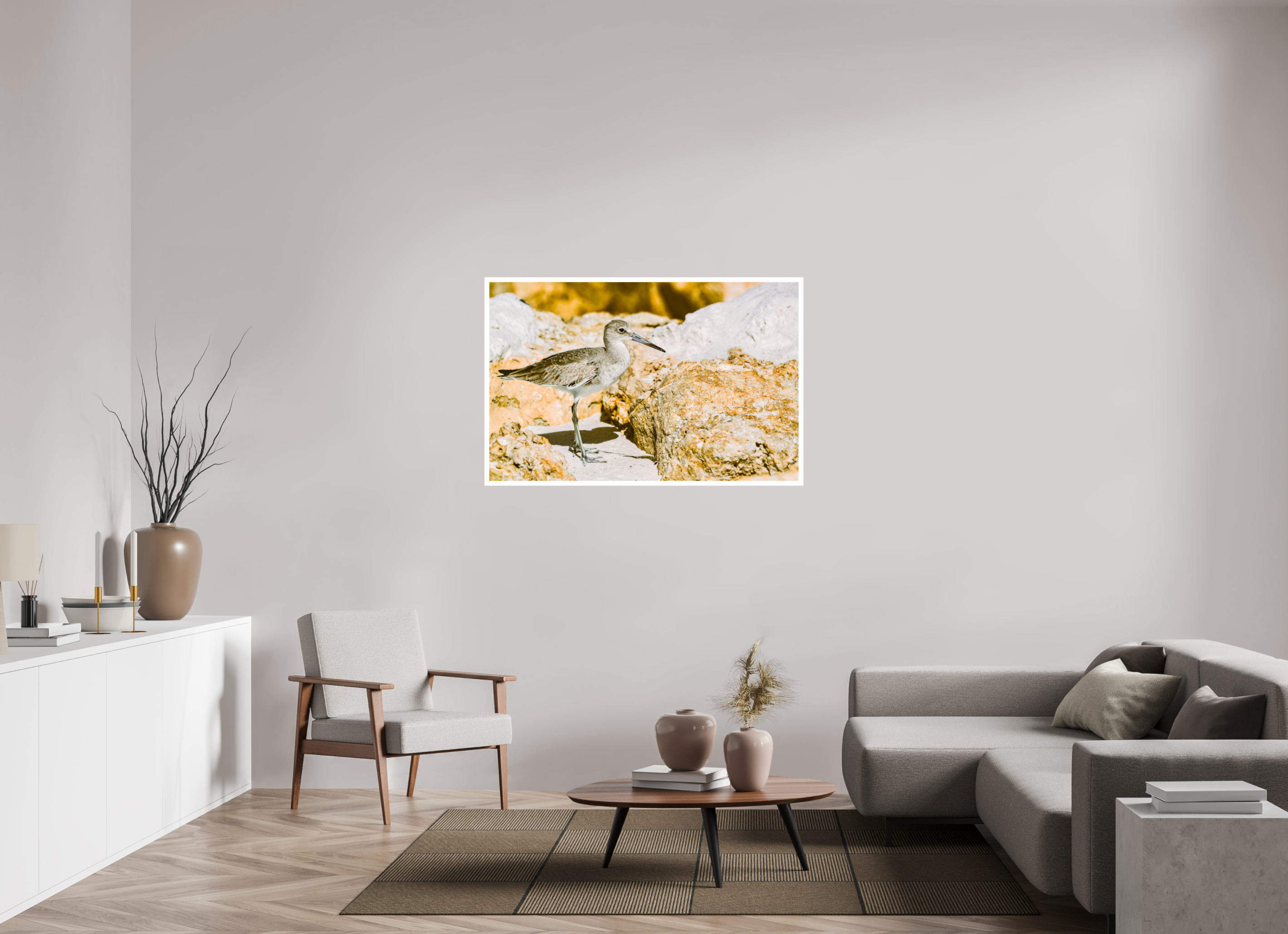 49.8 x 32″, Hahnemühle FineArt Pearl Print, .79" white border The Sunny Willet