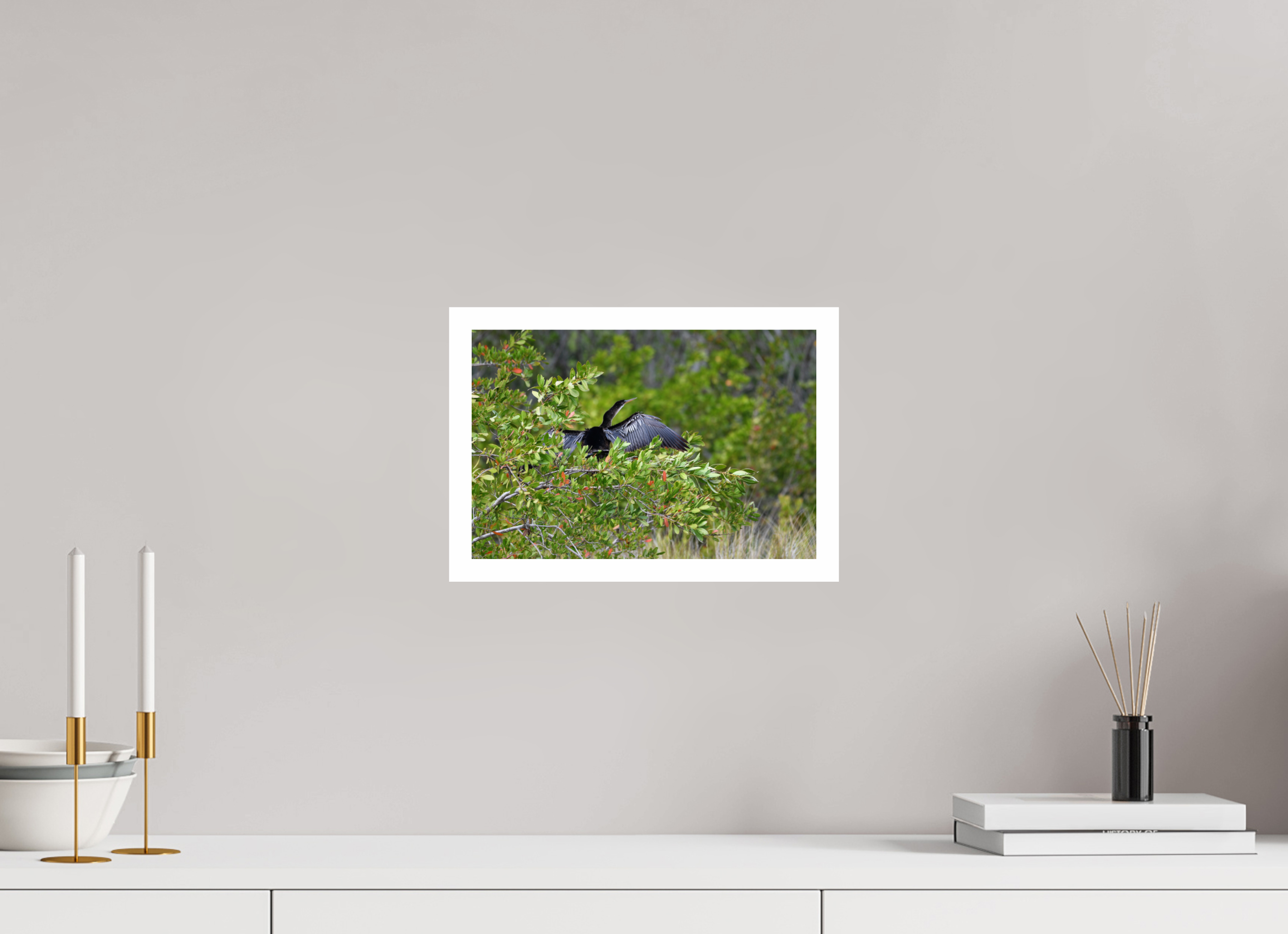 12 x 8″, Hahnemühle FineArt Pearl Print, .79" white border Florida Anhinga Sunning