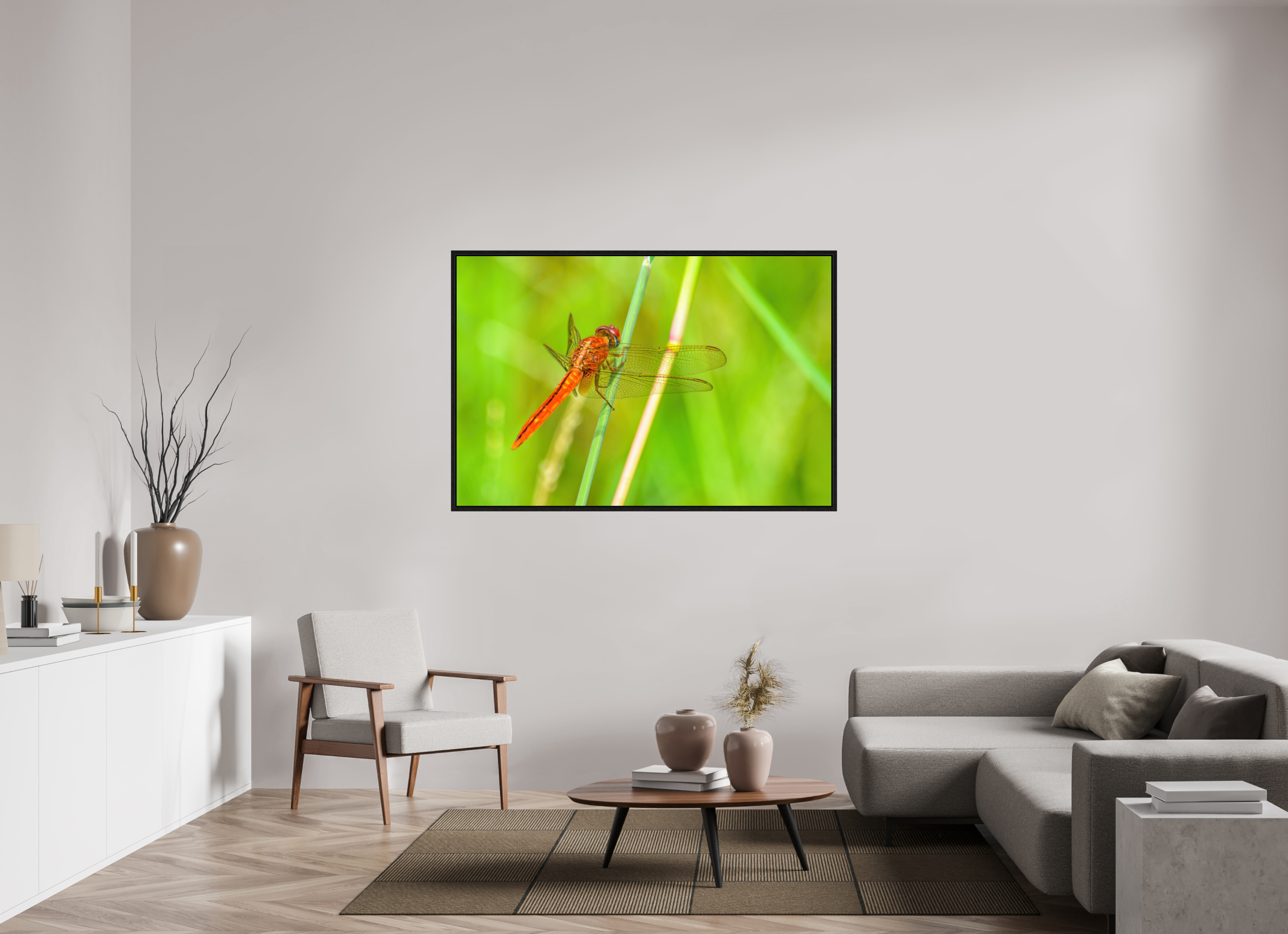 60 x 40″, Floater Frame, Basel 0.6", Black Oak, Glossy Acrylic Glass Resting Scarlet Skimmer