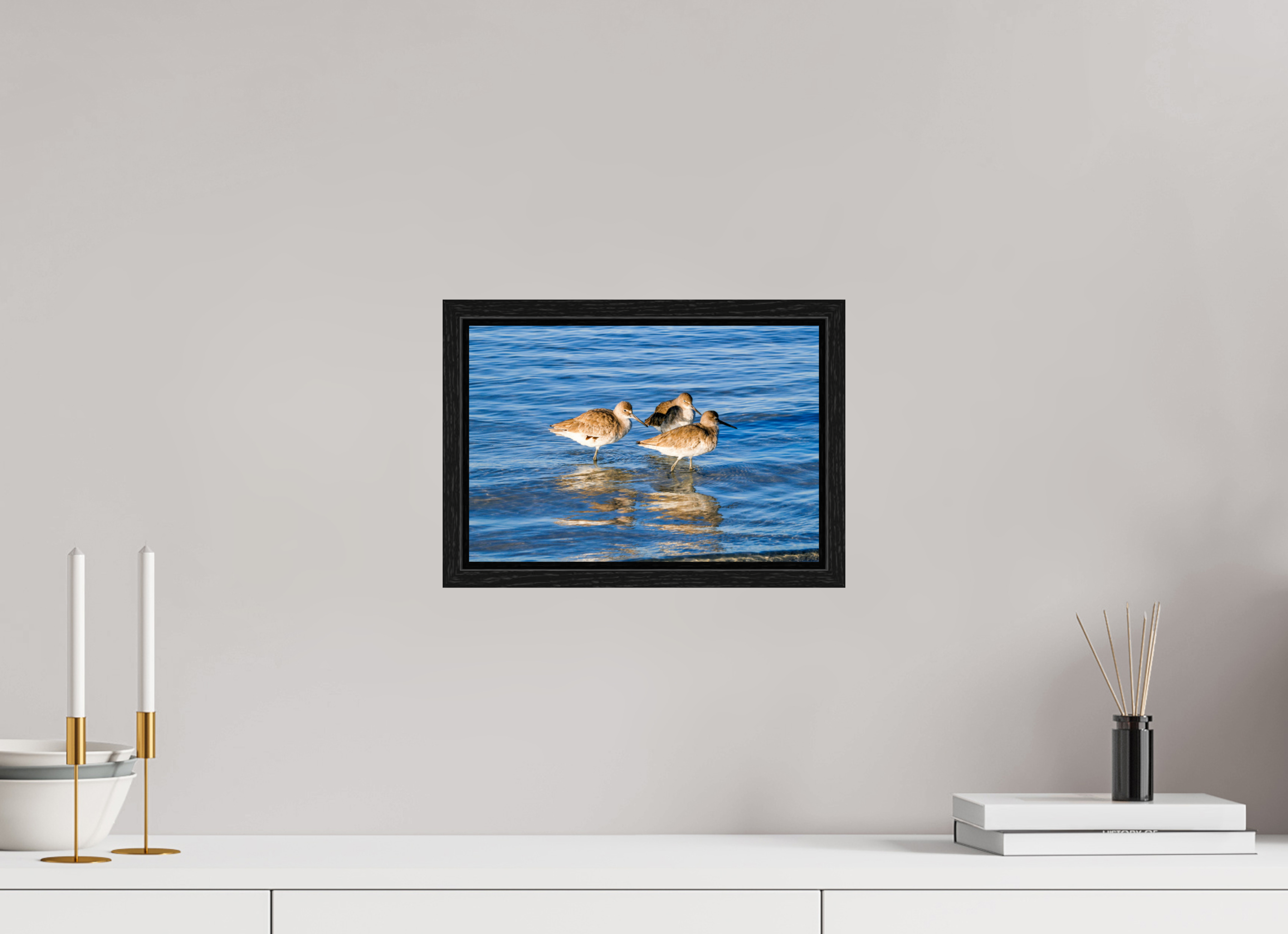 11.9 x 8″, Floater Frame, Basel 0.6", Black Oak, Glossy Acrylic Glass The Shoreline Trio: Willets in the Surf
