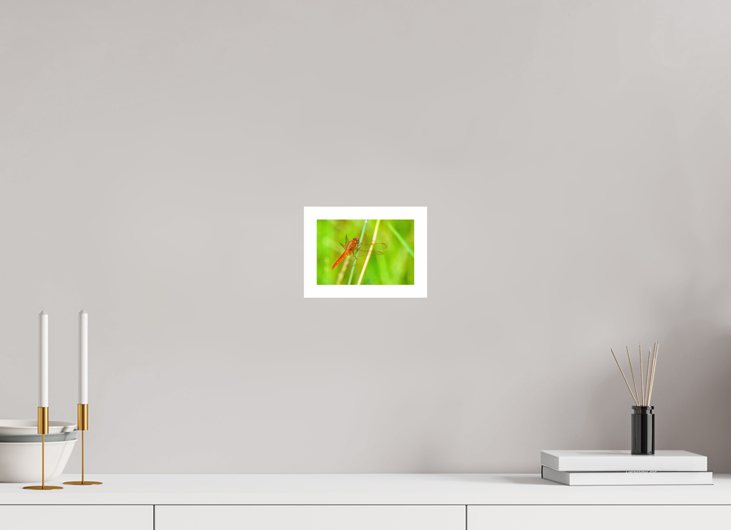 6 x 4″, Hahnemühle FineArt Pearl Print, .79" white border Resting Scarlet Skimmer