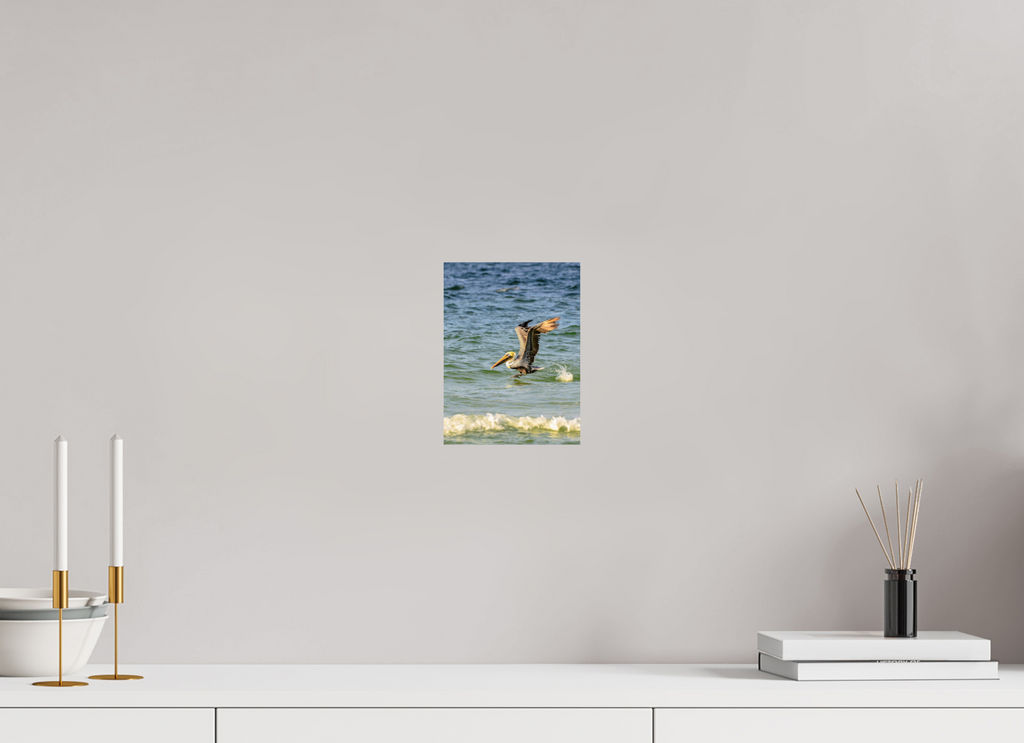 6 x 8″, Photo Print On Fuji Crystal DP II Pelican in Flight