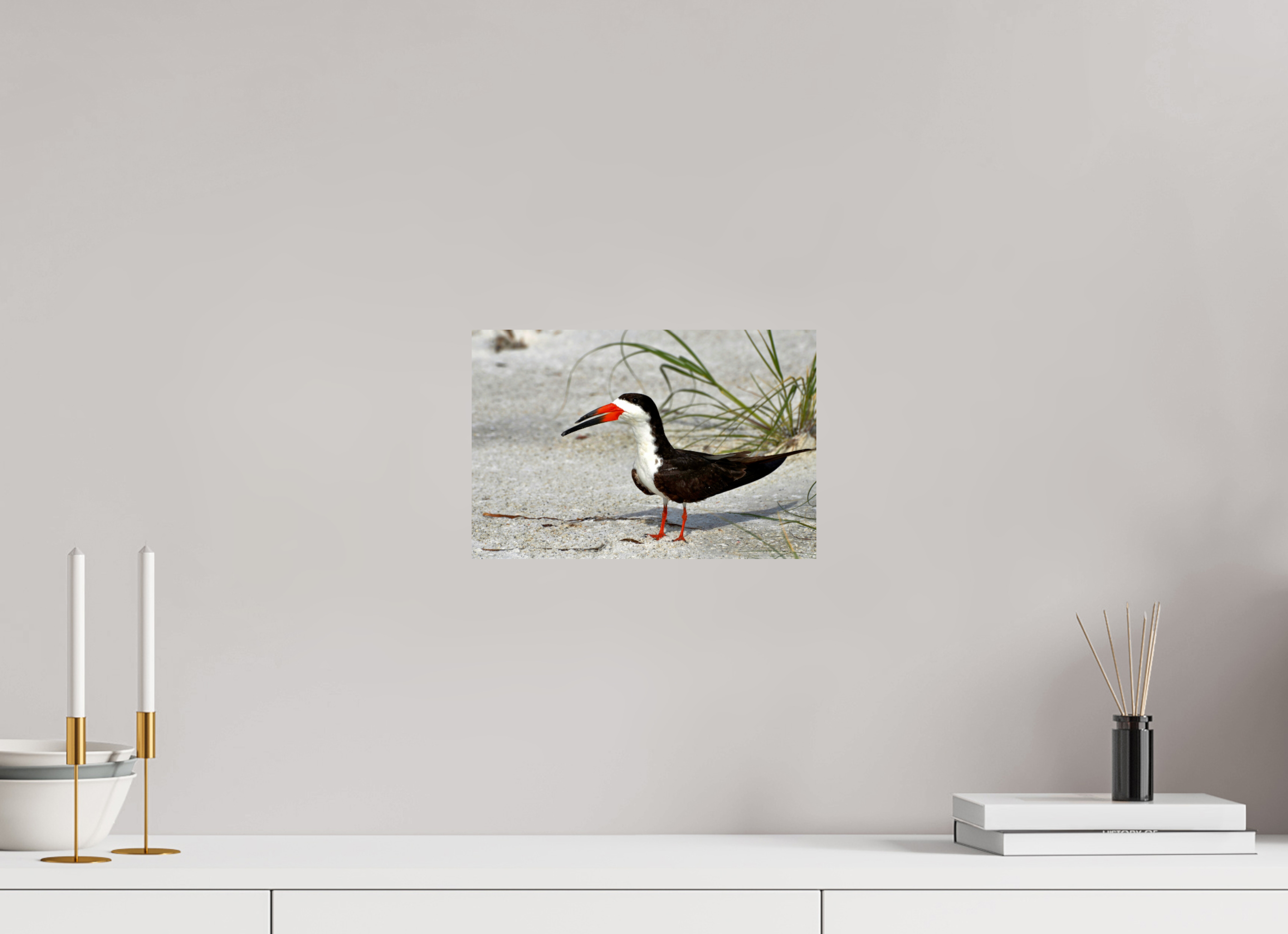 12 x 8″, Photo Print On Fuji Crystal DP II Sand & Black Skimmer