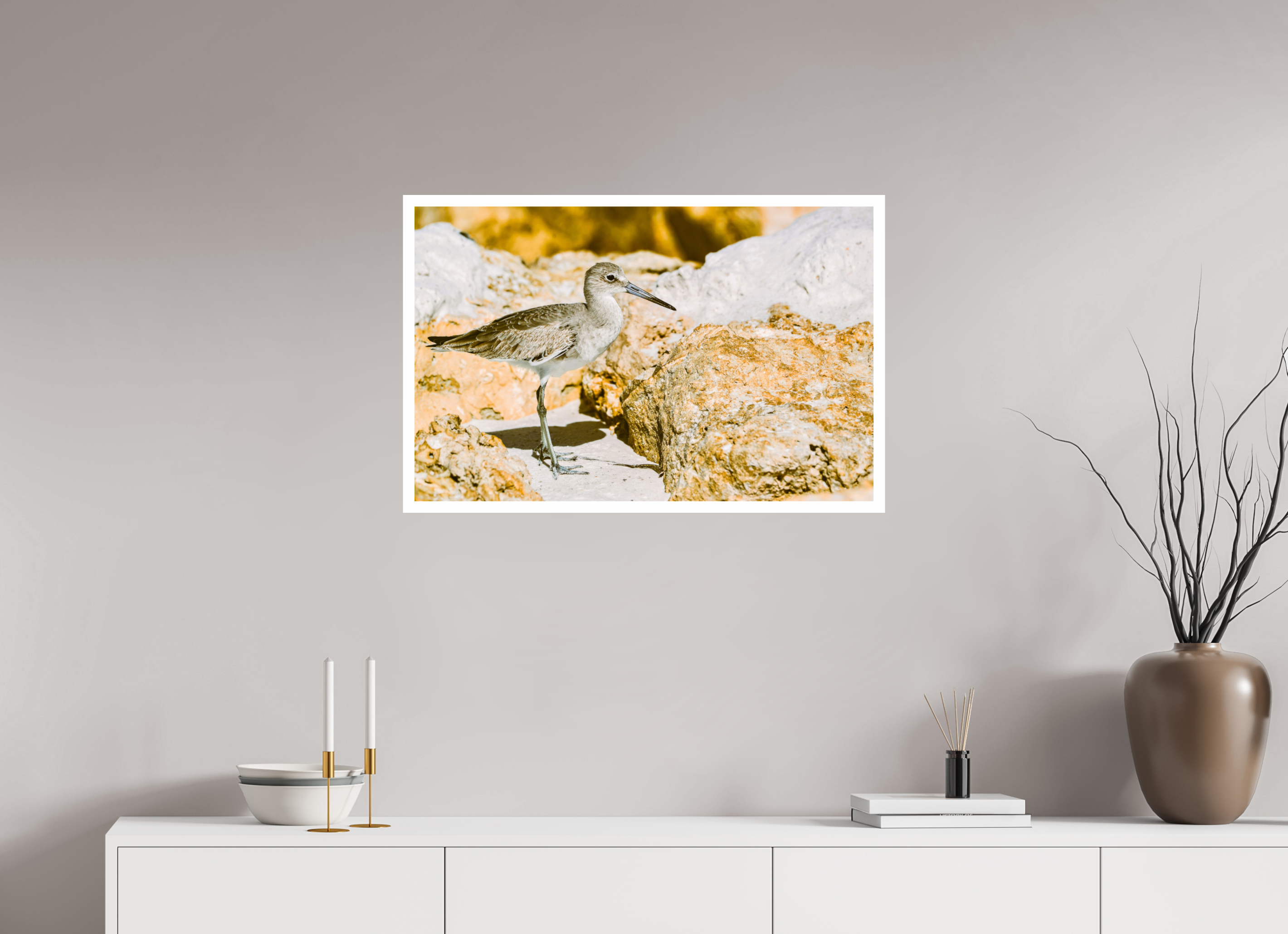 31.1 x 20″, Hahnemühle FineArt Pearl Print, .79" white border The Sunny Willet