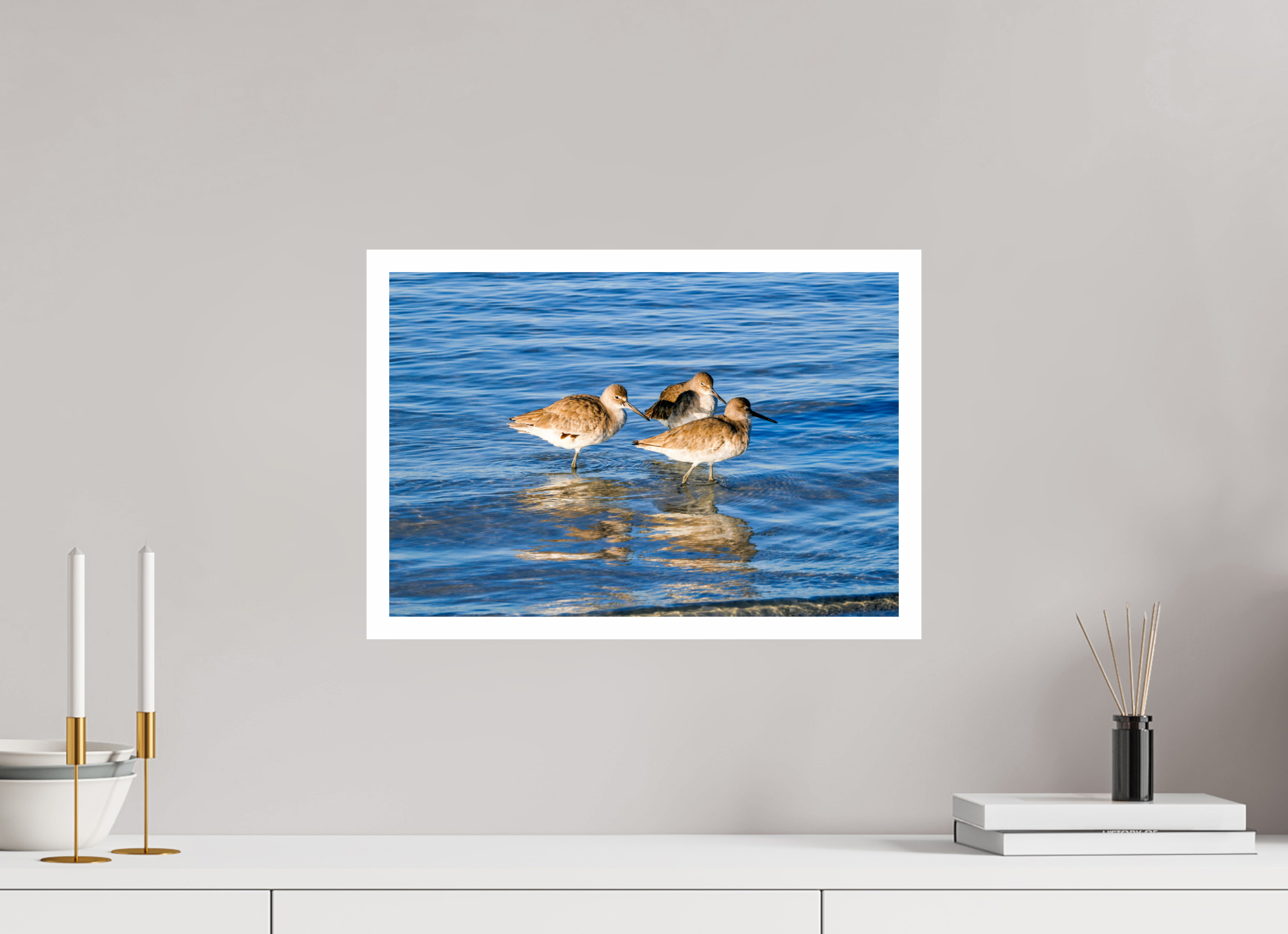 17.8 x 12″, Hahnemühle FineArt Pearl Print, .79" white border The Shoreline Trio: Willets in the Surf