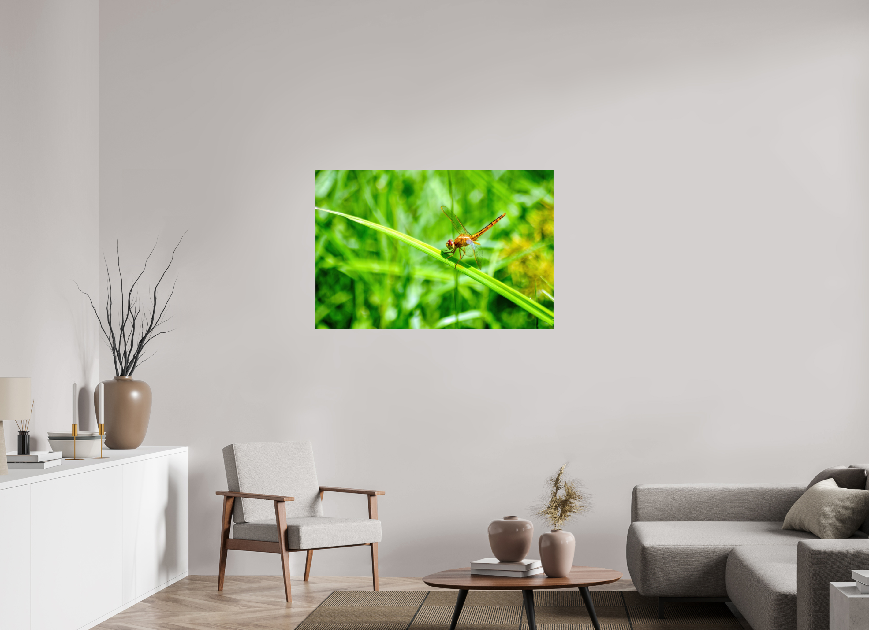 45 x 30″, Metallic Photo Print Under Acrylic Glass Female Scarlet Skimmer