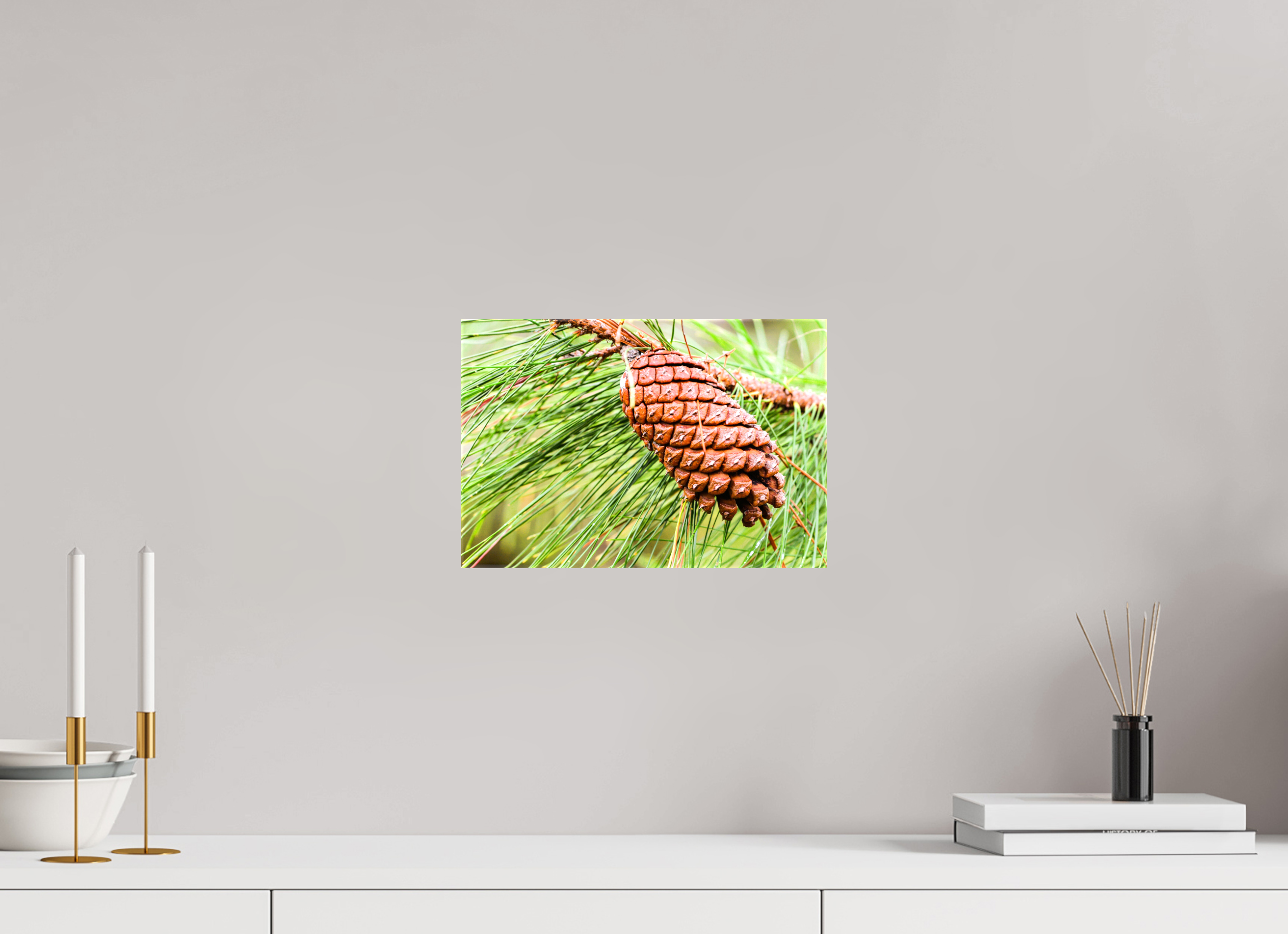 11.9 x 8″, Glossy Canvas on Stretcher Frame, 1,57" Wrapped The Longleaf Pine Cone