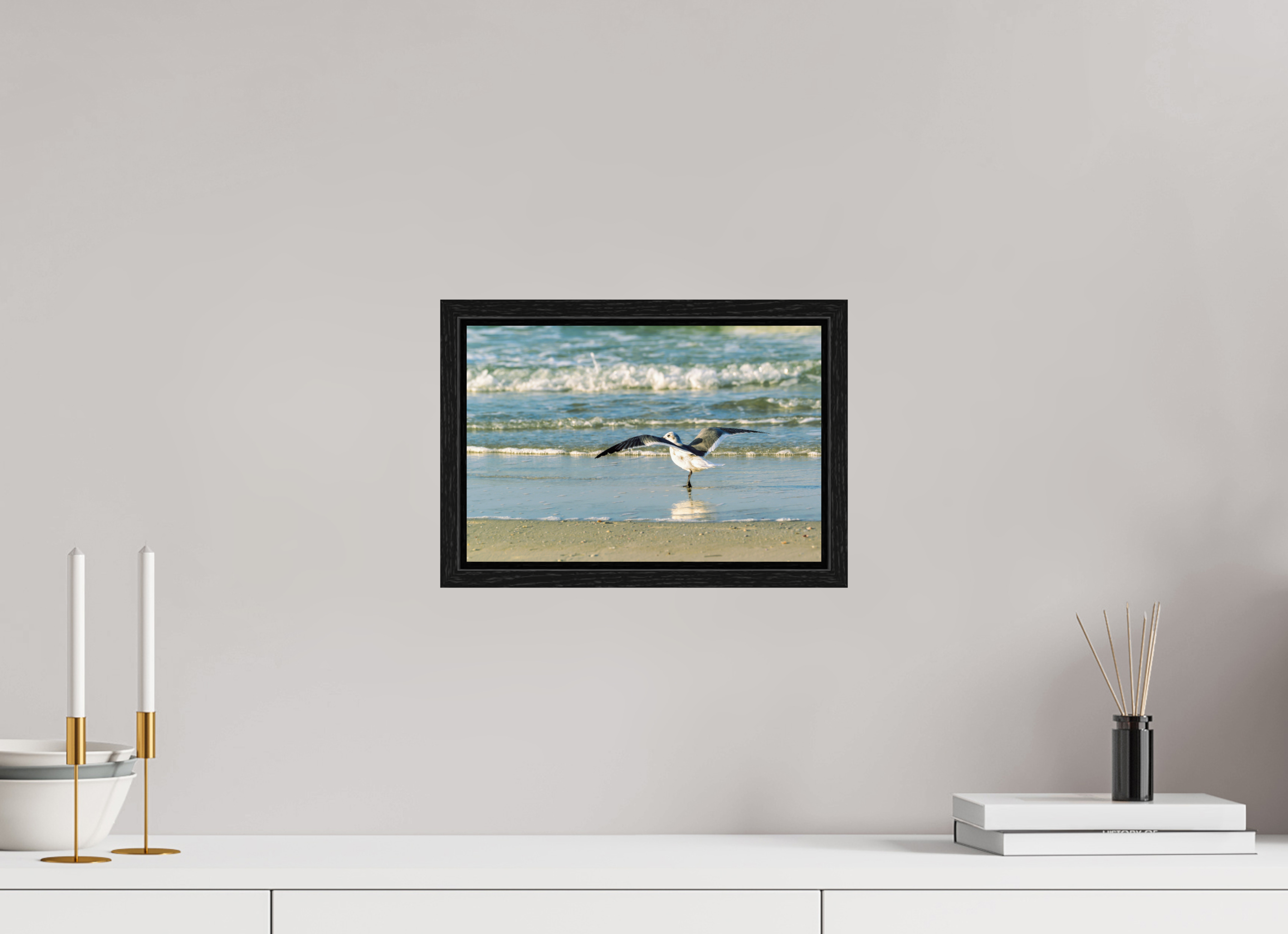 12 x 8″, Floater Frame Laughing Gull in Motion