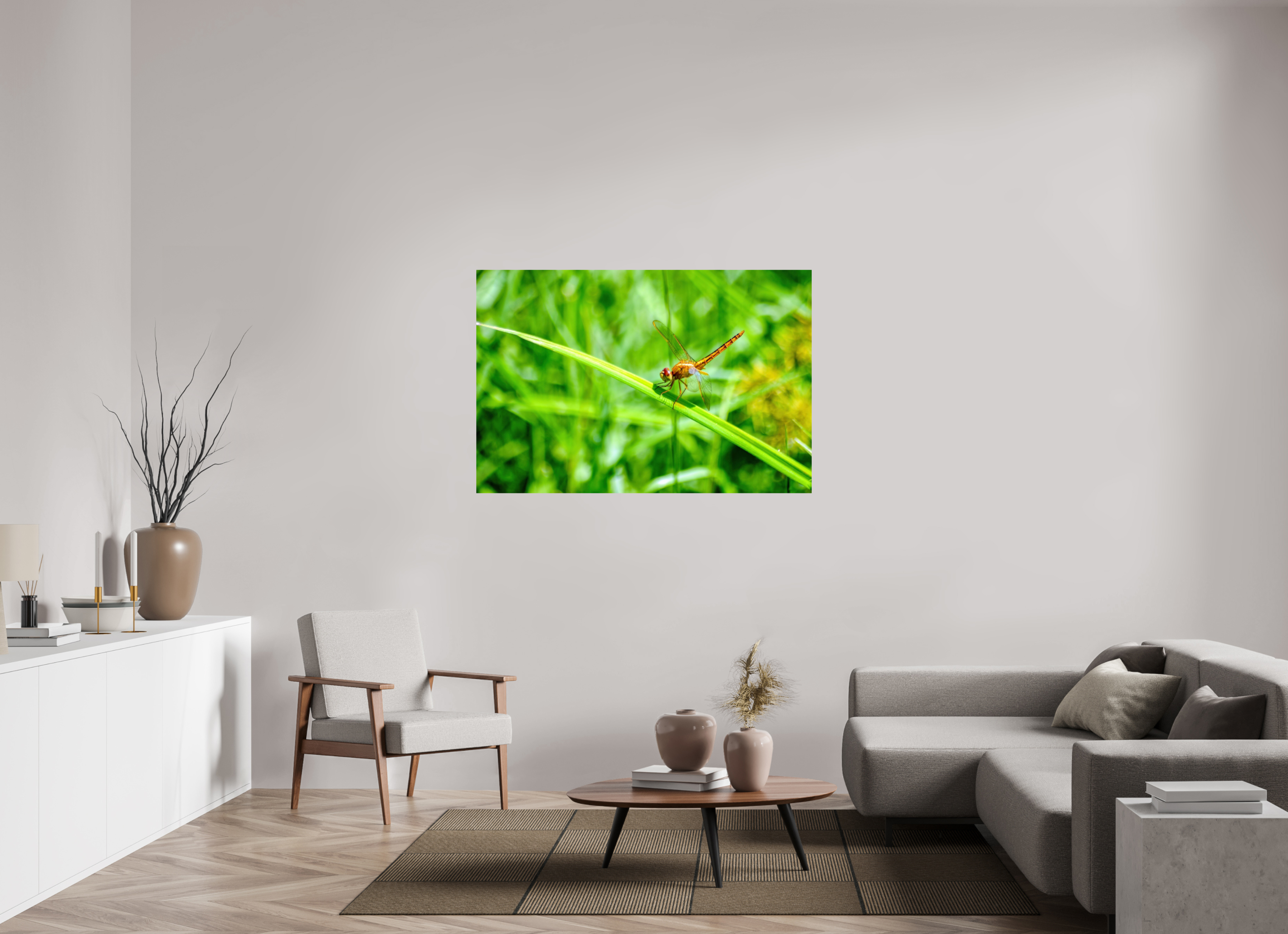 54 x 36″, Photo Print On Fuji Crystal DP II Female Scarlet Skimmer
