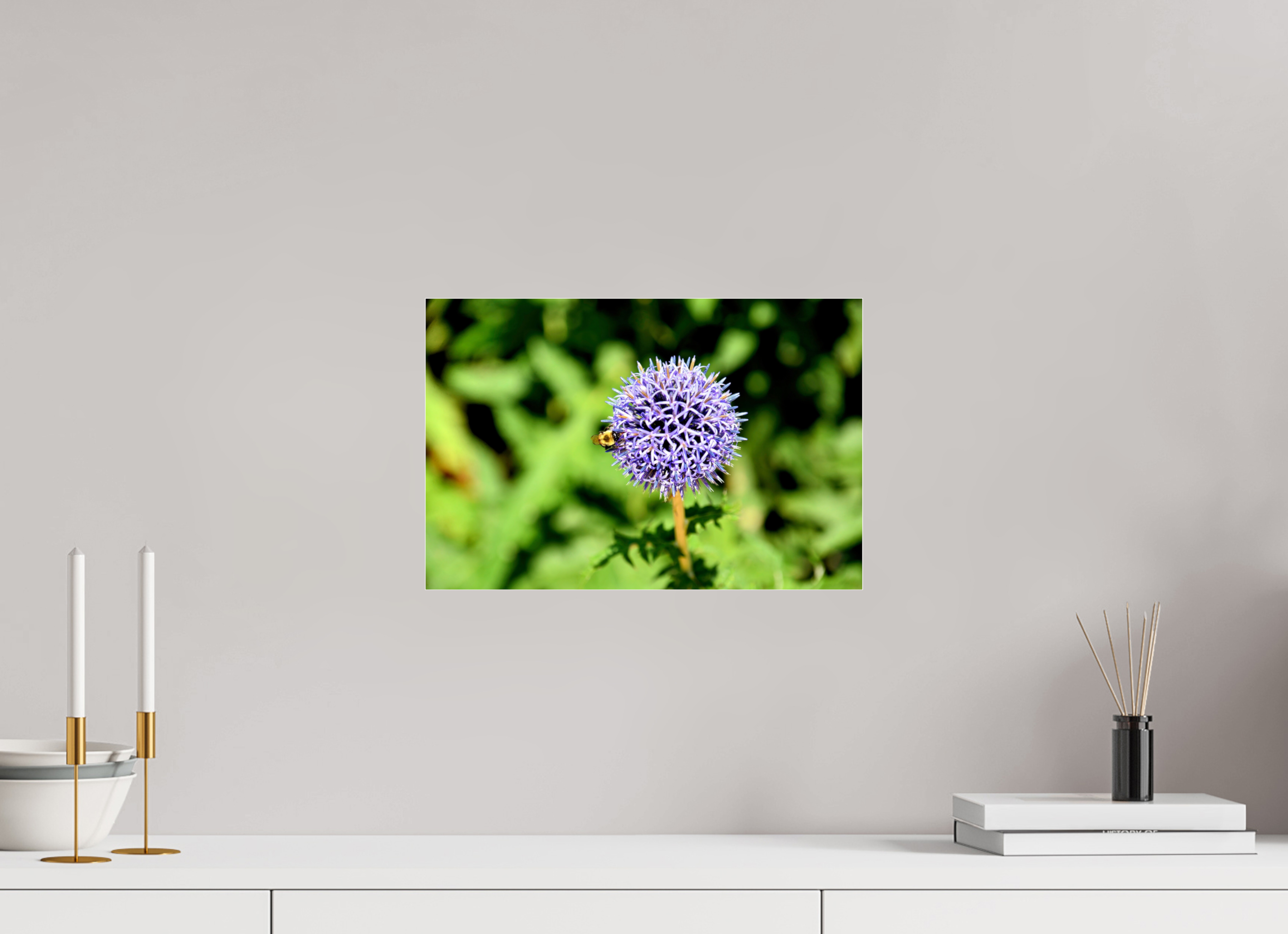 15 x 10″, Metallic Photo Print Under Acrylic Glass The Bee & The Globe Thistle (Echinops)