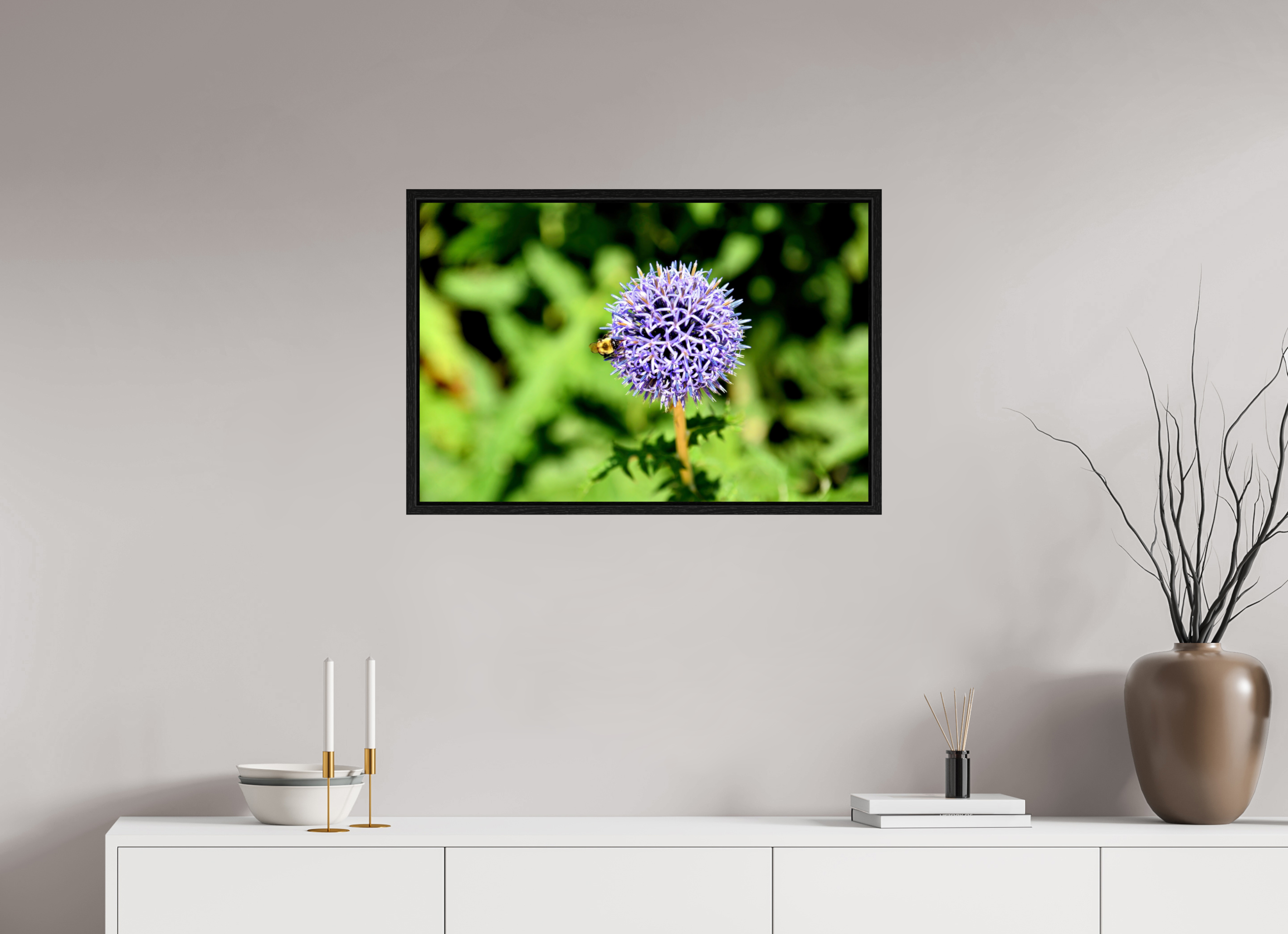 30 x 20″, Floater Frame, Basel 0.6", Black Oak, Glossy Acrylic Glass The Bee & The Globe Thistle (Echinops)