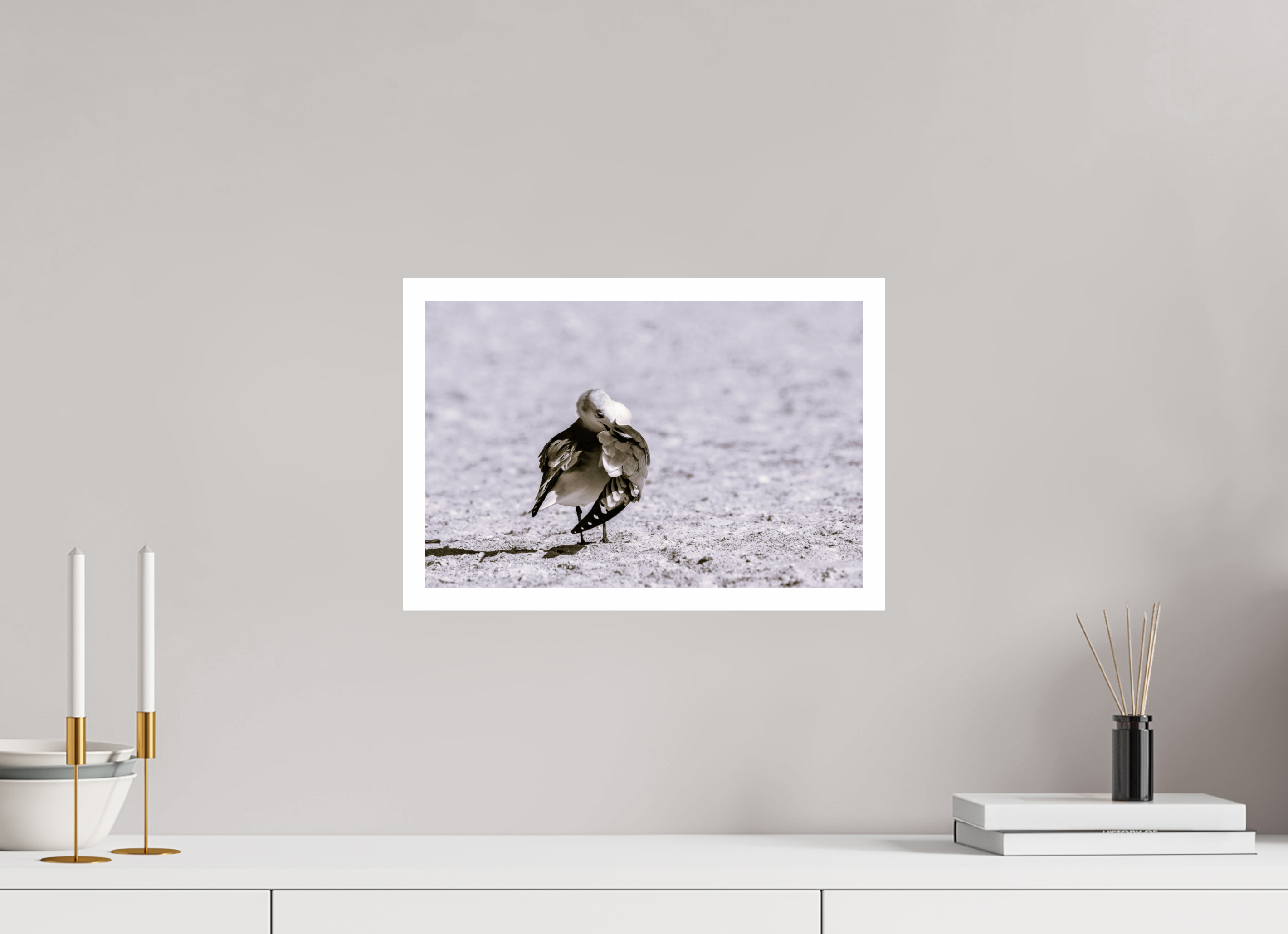 15.2 x 10″, Hahnemühle FineArt Pearl Print, .79" white border Preening Gull