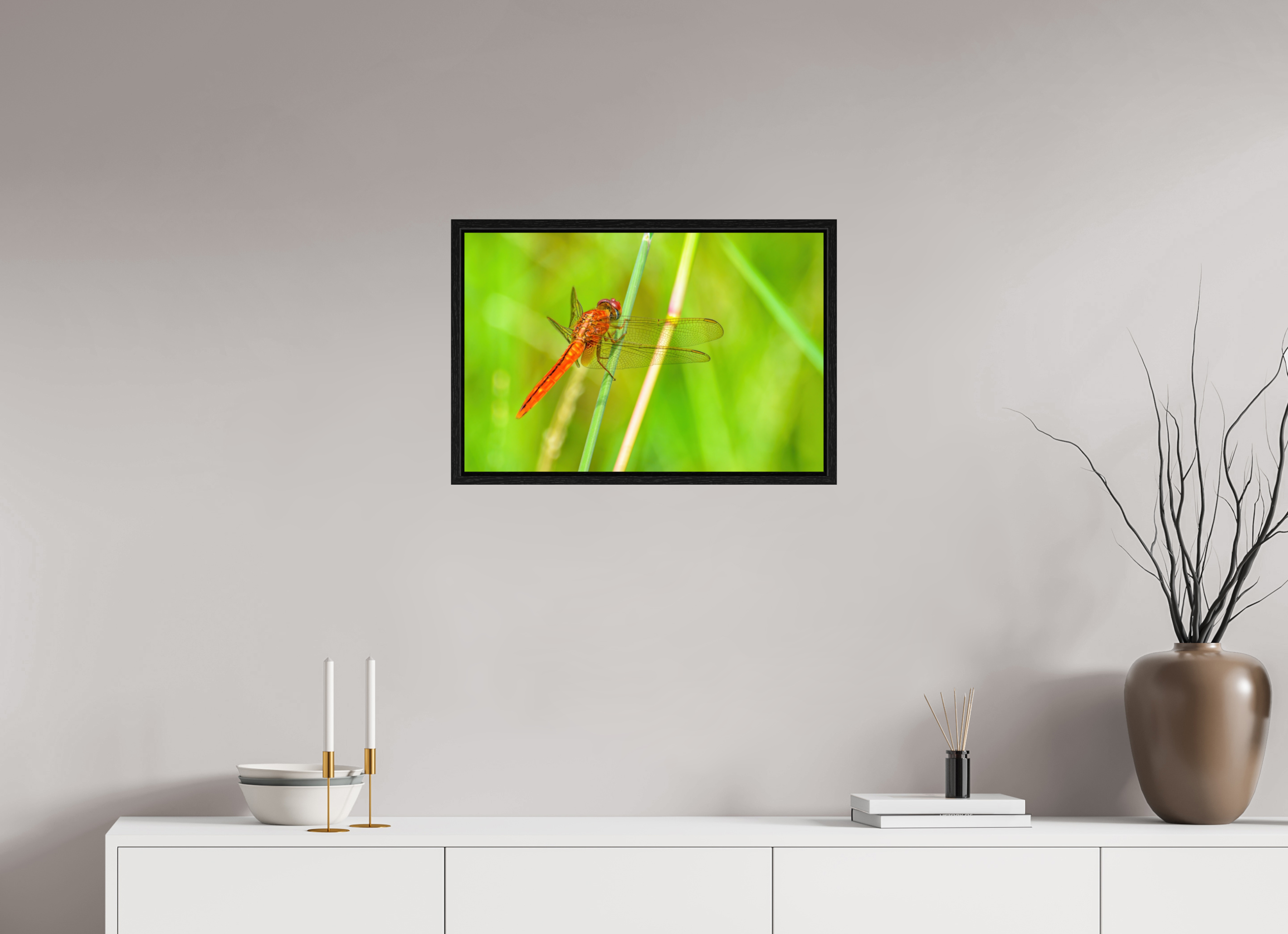 24 x 16″, Floater Frame, Basel 0.6", Black Oak, Glossy Acrylic Glass Resting Scarlet Skimmer