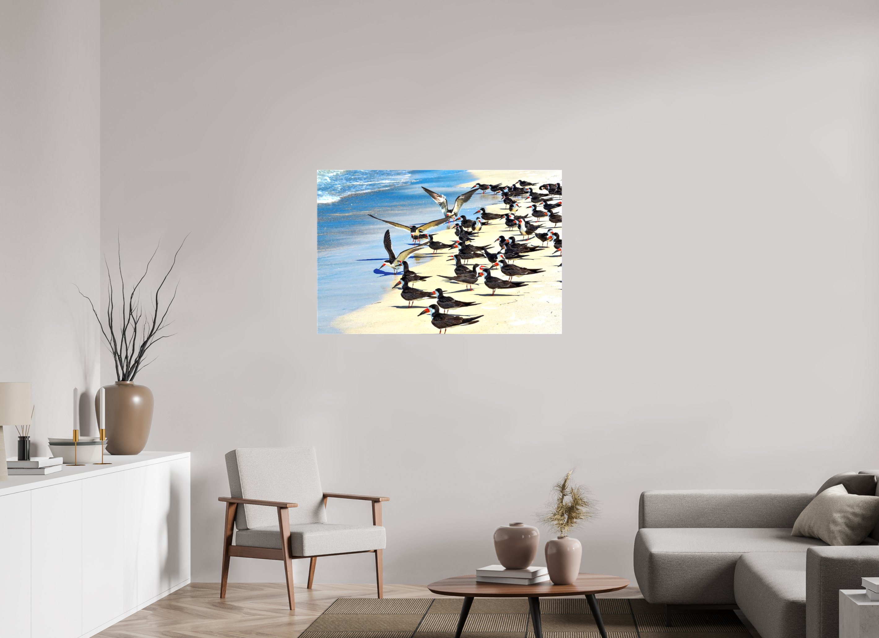 45 x 30″, Glossy Canvas on Stretcher Frame, 1,57" Wrapped Shoreline Social: Black Skimmer Colony