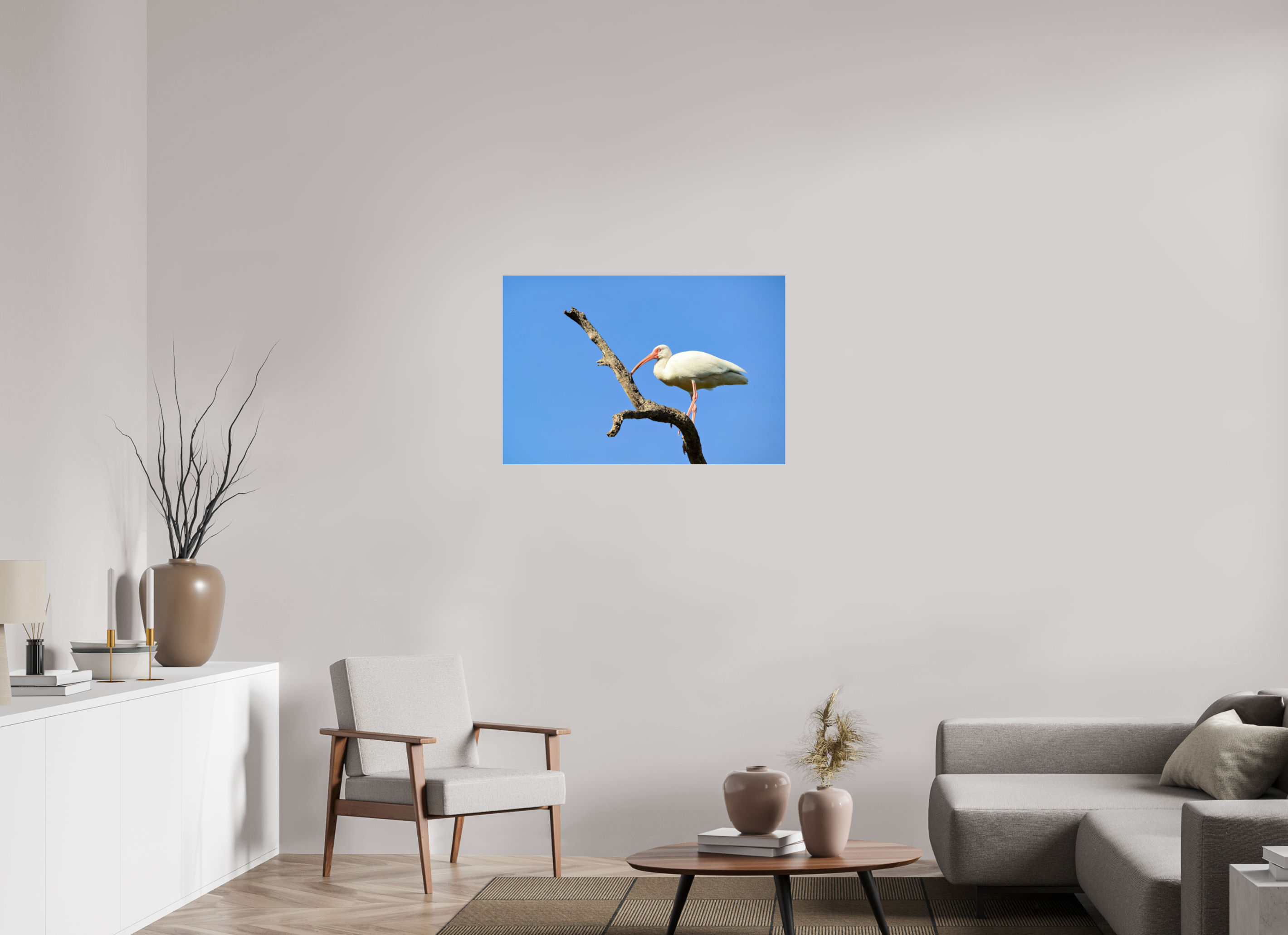 36 x 24″, Photo Print Fuji Crystal Archive Under Acrylic Glass Azure Solitude: The American White Ibis