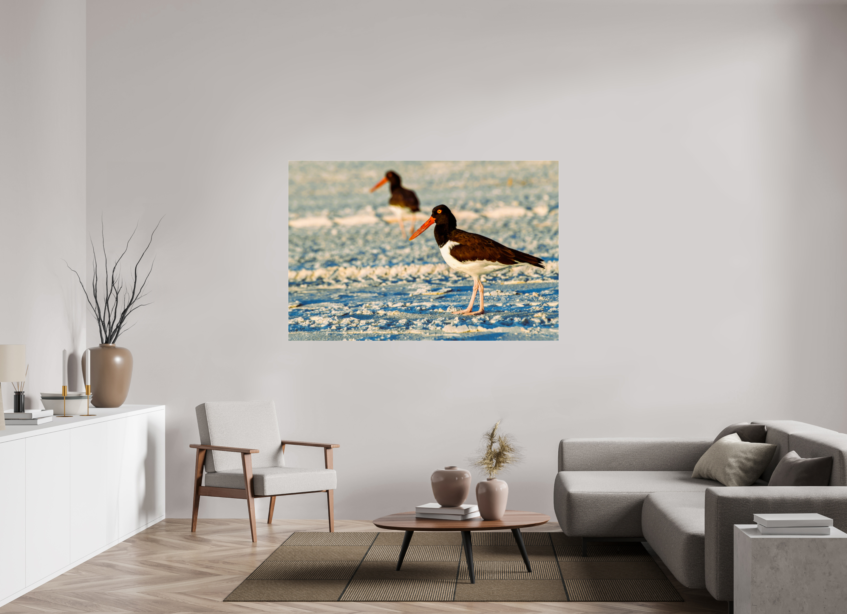 66 x 44″, Metallic Photo Print Under Acrylic Glass Oystercatcher Stroll