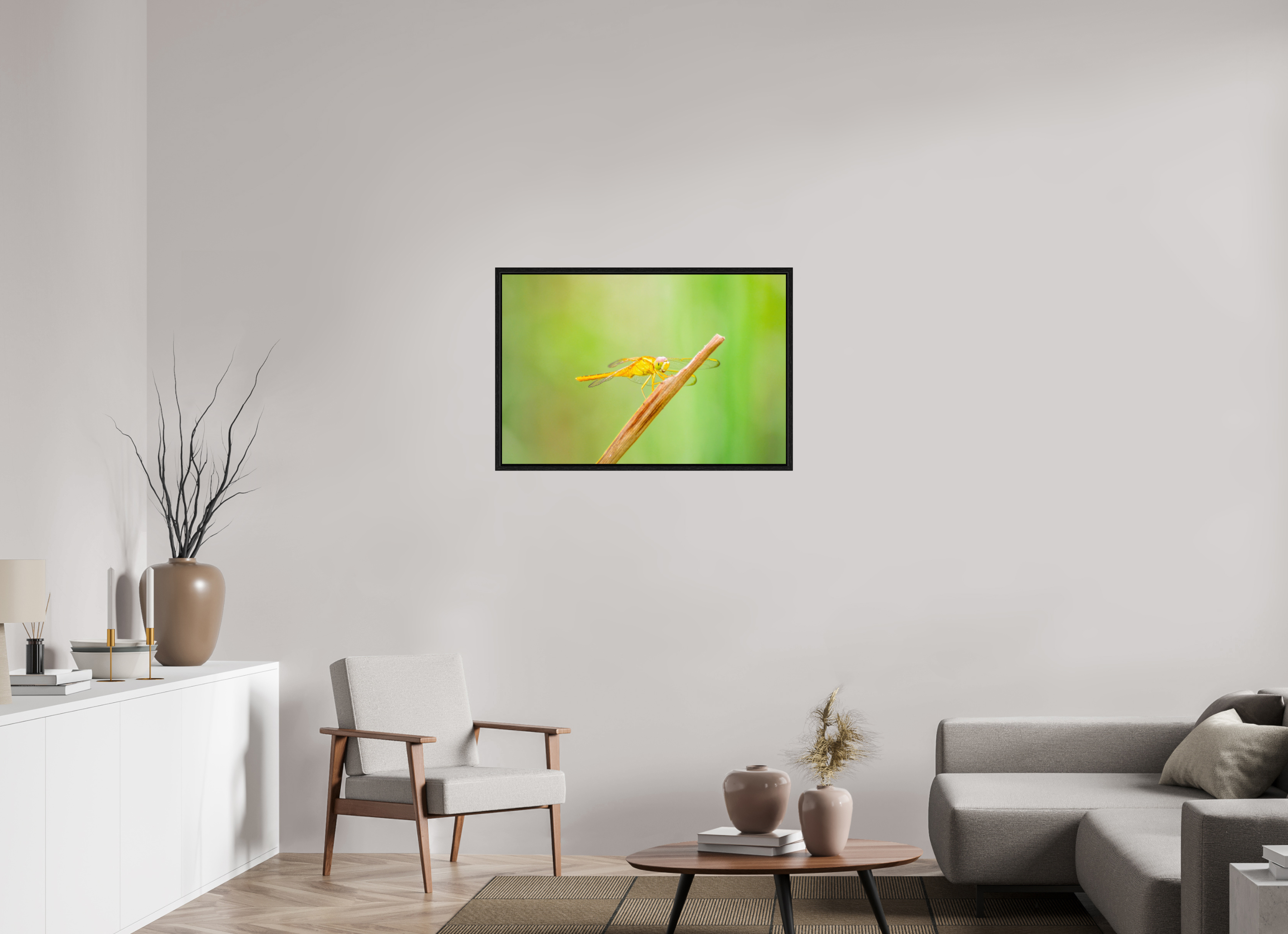 36 x 24″, Floater Frame, Basel 0.6", Black Oak, Glossy Acrylic Glass Sun-Drenched Golden Scarlet Skimmer